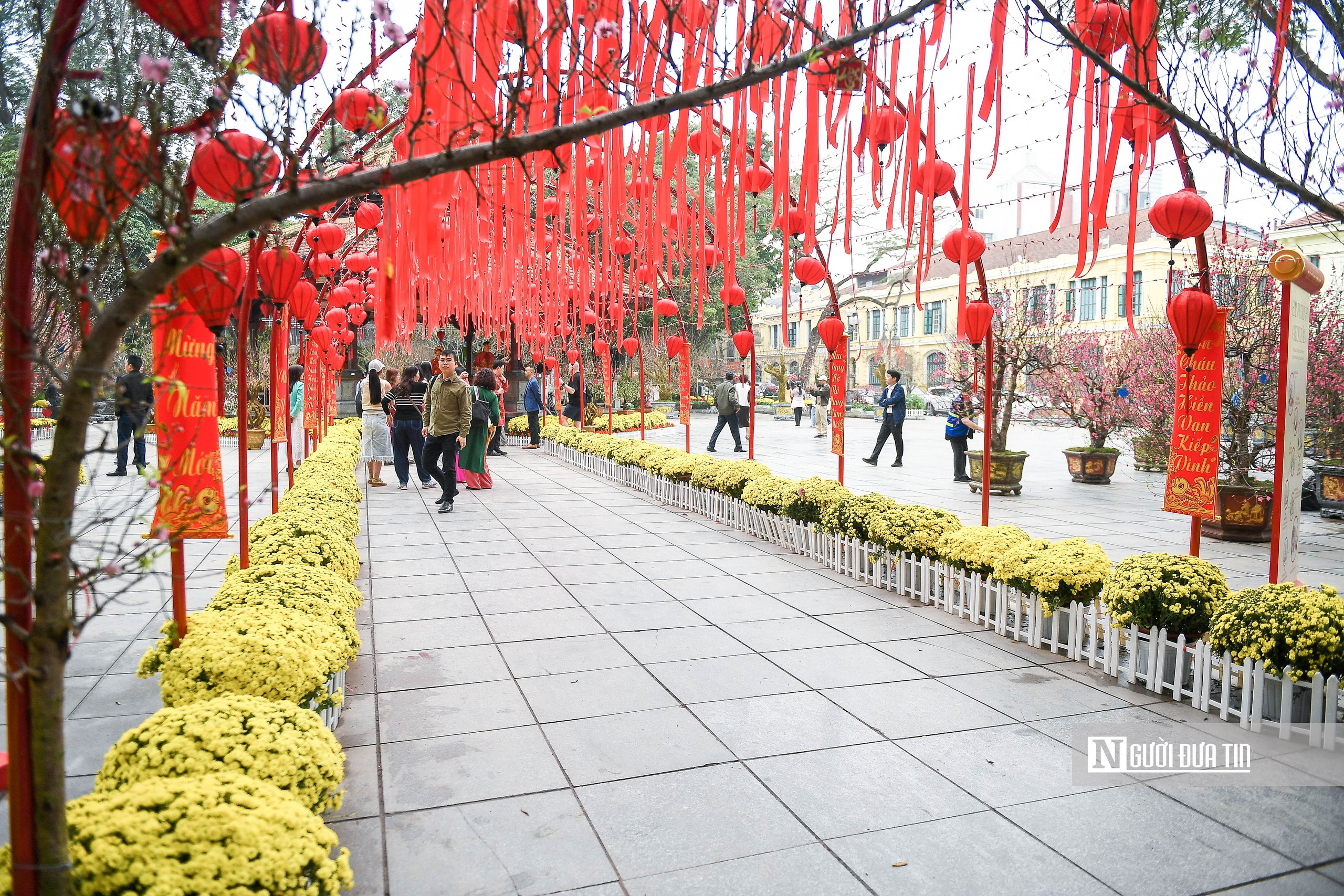 H&agrave; Nội: Người d&acirc;n h&agrave;o hứng "check-in" với 300 gốc đ&agrave;o cổ- Ảnh 2.