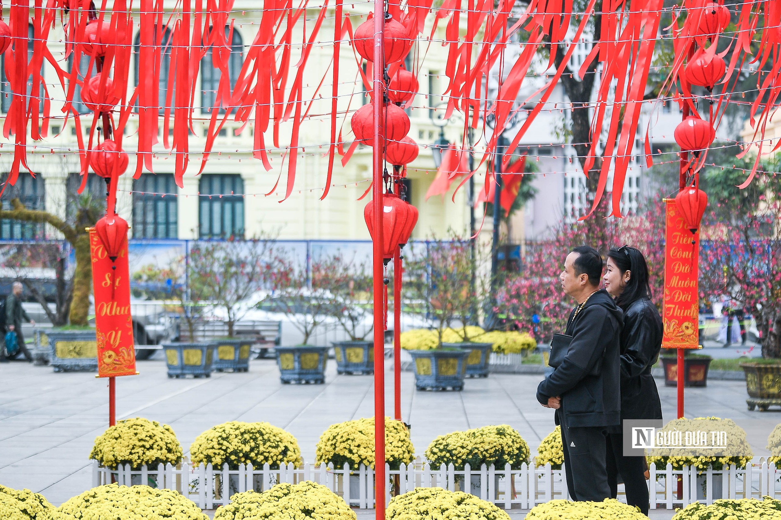 H&agrave; Nội: Người d&acirc;n h&agrave;o hứng "check-in" với 300 gốc đ&agrave;o cổ- Ảnh 14.
