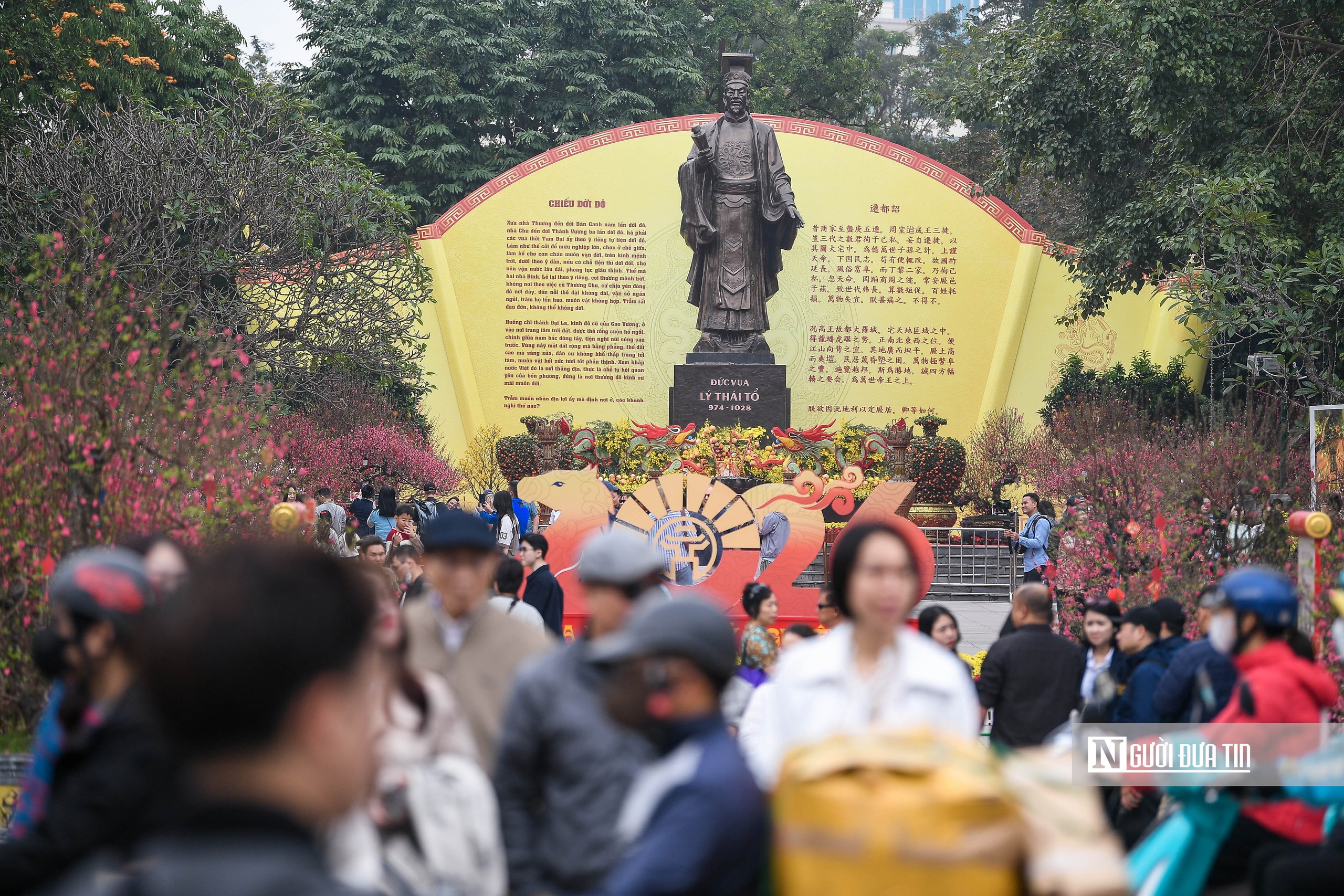 H&agrave; Nội: Người d&acirc;n h&agrave;o hứng "check-in" với 300 gốc đ&agrave;o cổ- Ảnh 4.
