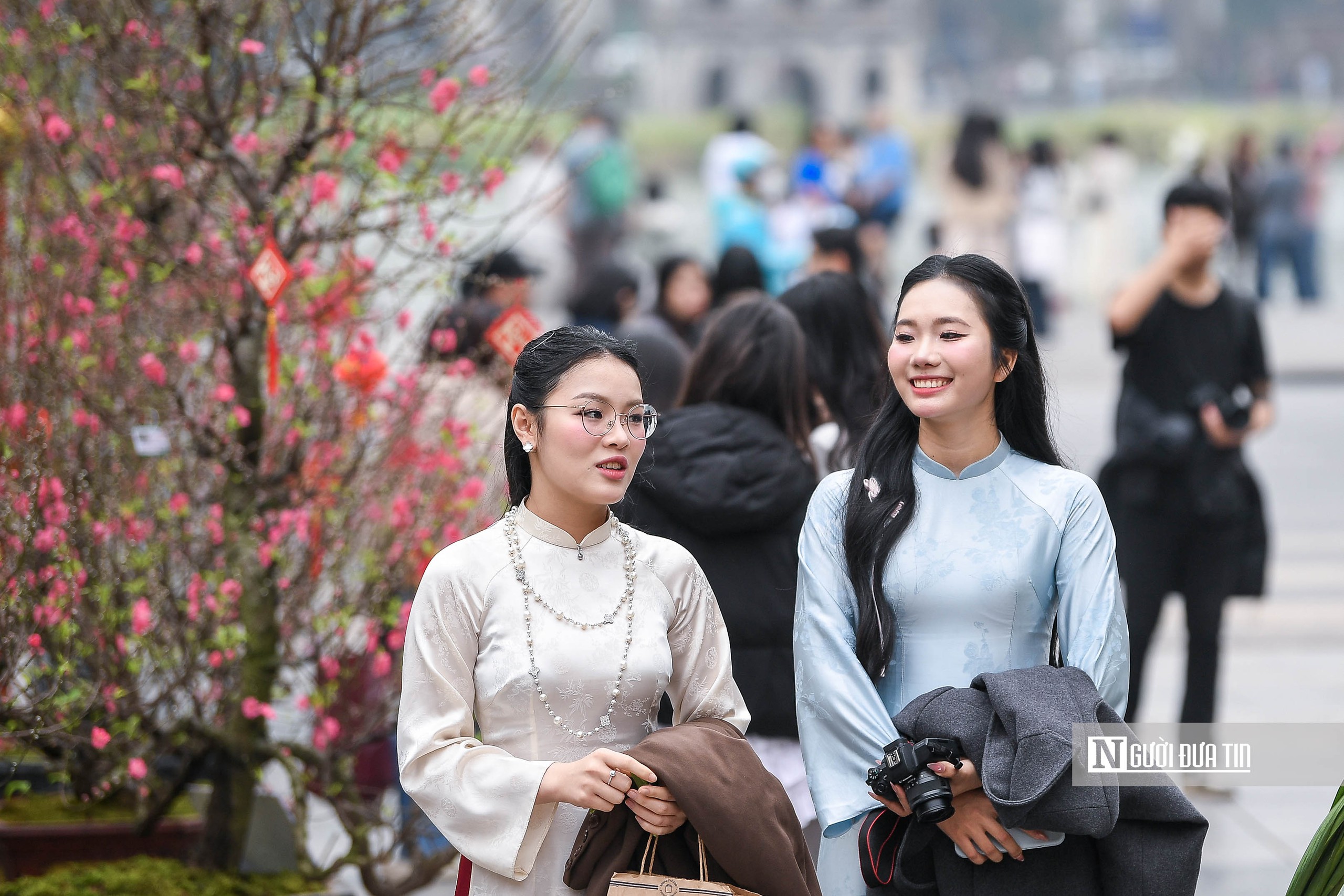 H&agrave; Nội: Người d&acirc;n h&agrave;o hứng "check-in" với 300 gốc đ&agrave;o cổ- Ảnh 8.