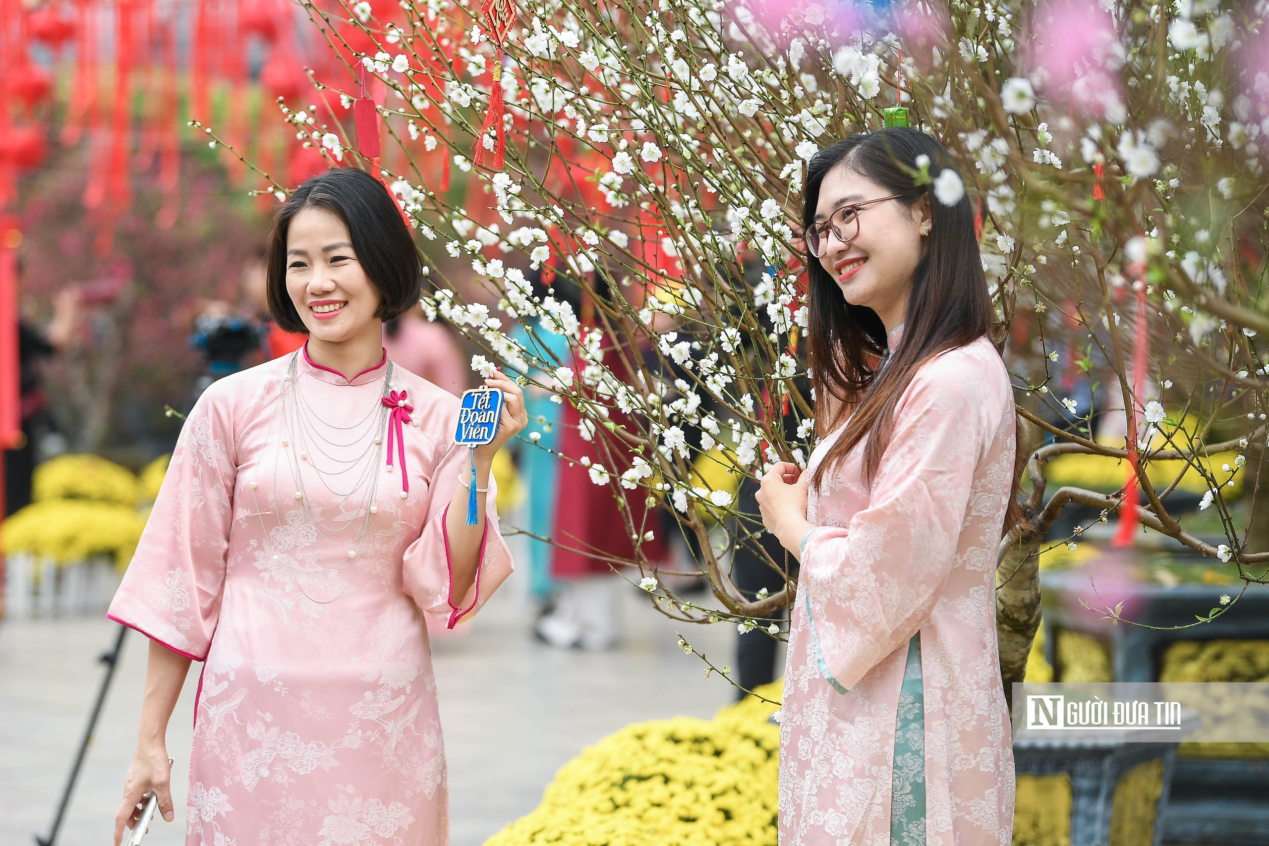 H&agrave; Nội: Người d&acirc;n h&agrave;o hứng "check-in" với 300 gốc đ&agrave;o cổ- Ảnh 9.