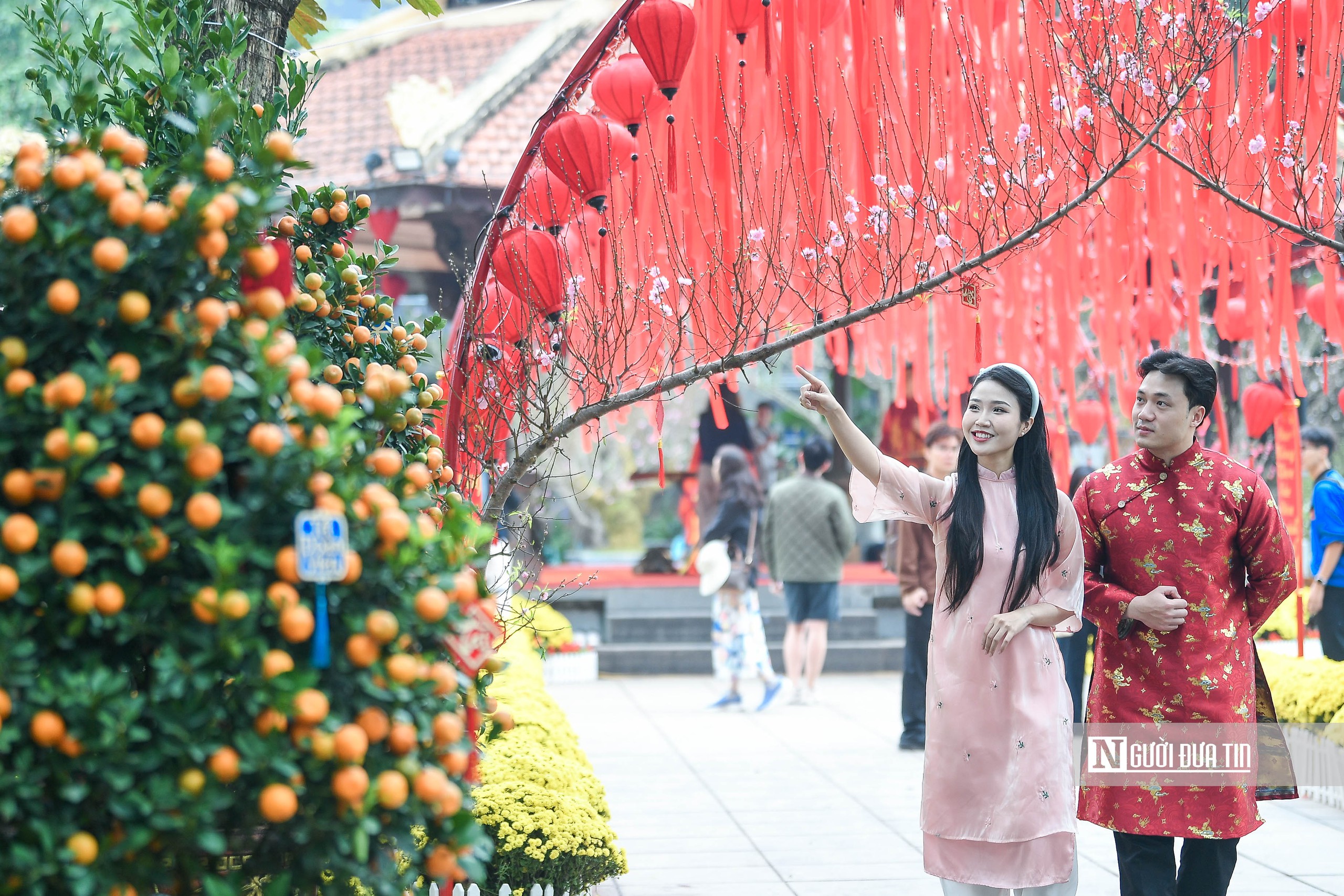 H&agrave; Nội: Người d&acirc;n h&agrave;o hứng "check-in" với 300 gốc đ&agrave;o cổ- Ảnh 12.