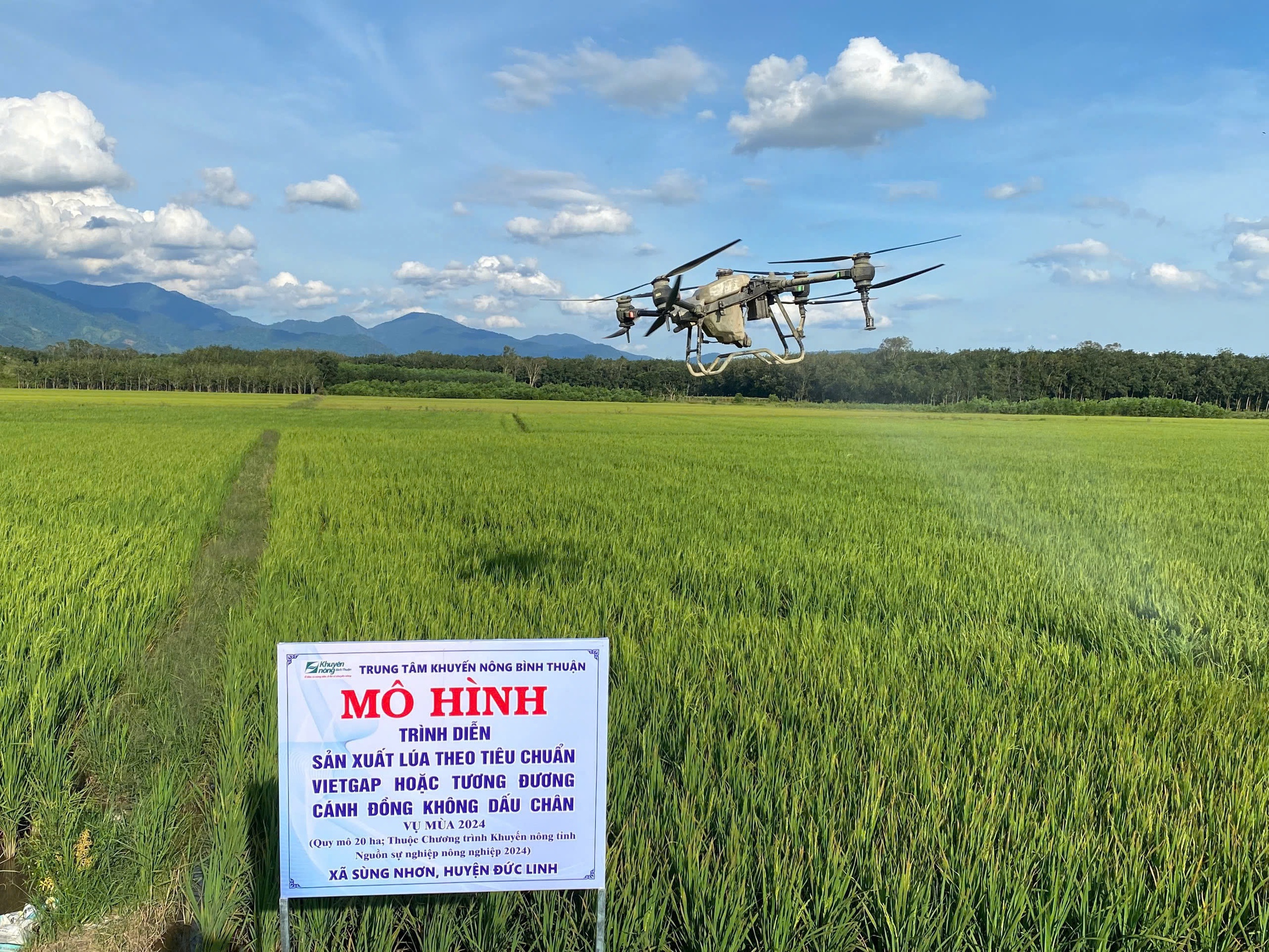 Tương lai mới trên những “cánh đồng không dấu chân” của Lâm Đồng- Ảnh 4. Tương lai mới trên những “cánh đồng không dấu chân” của Lâm Đồng- Ảnh 4.