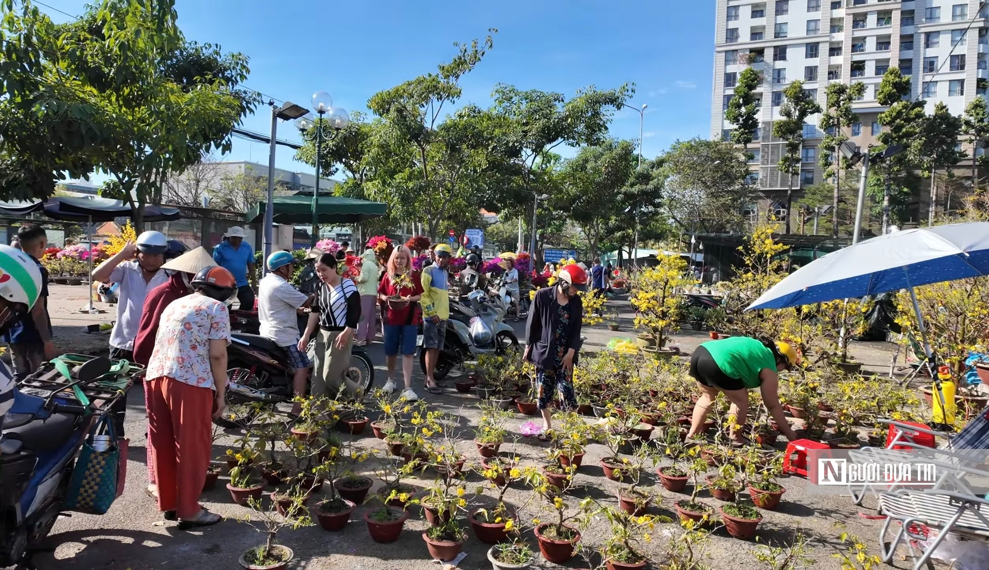 Chợ hoa tết ở Tp.HCM, kẻ khóc người cười- Ảnh 1.