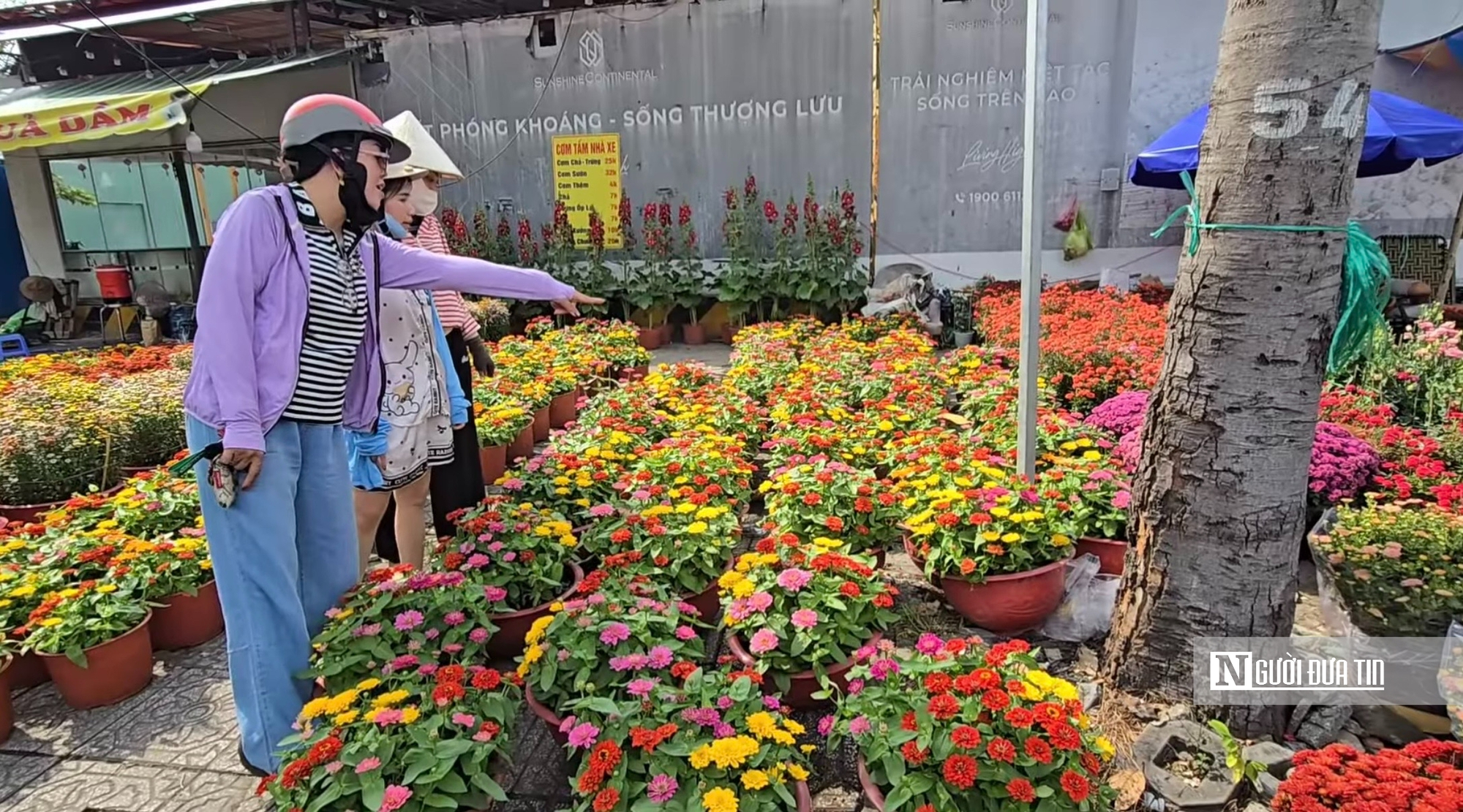 Chợ hoa tết ở Tp.HCM, kẻ khóc người cười- Ảnh 9.