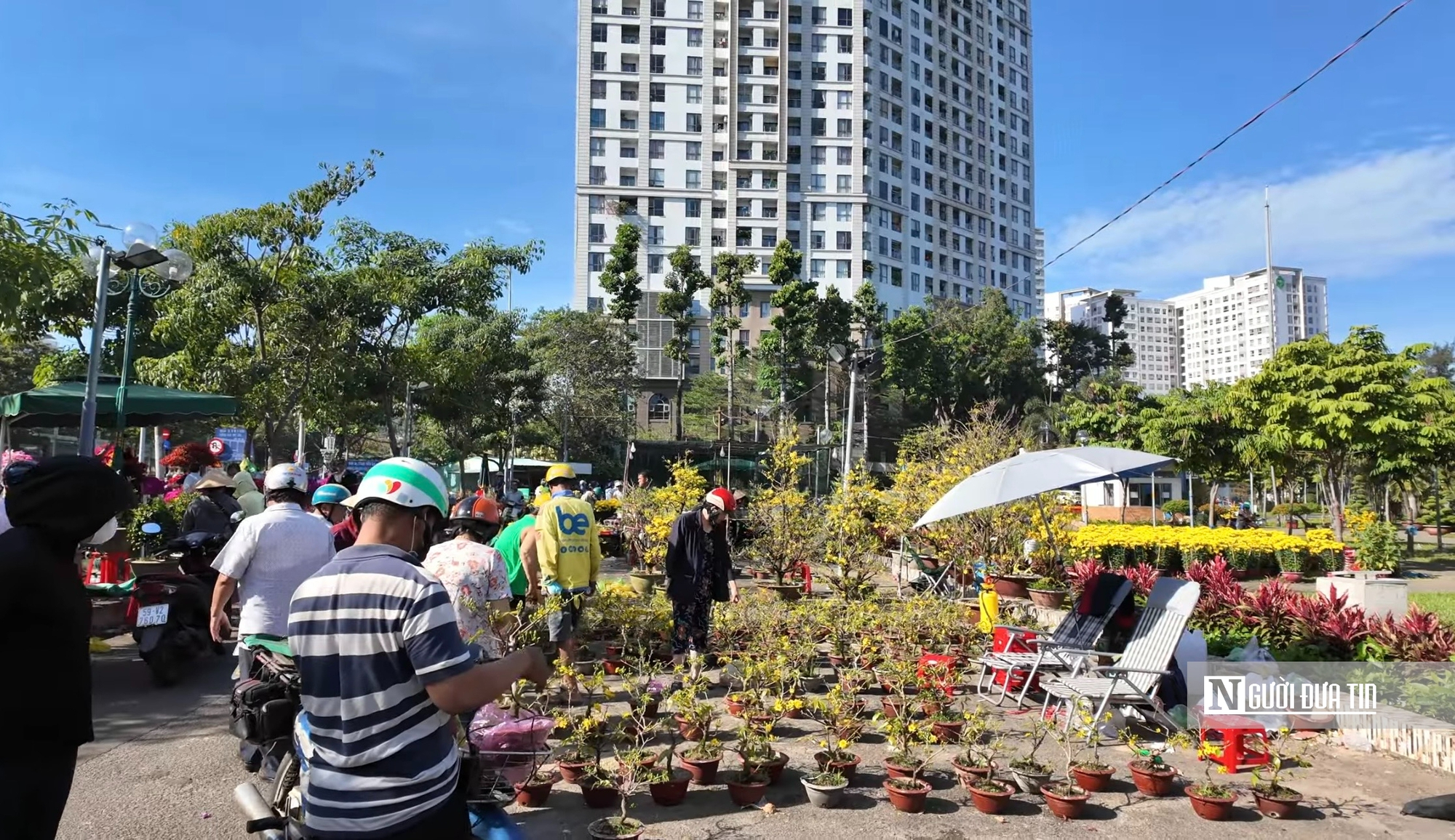 Chợ hoa tết ở Tp.HCM, kẻ khóc người cười- Ảnh 10.