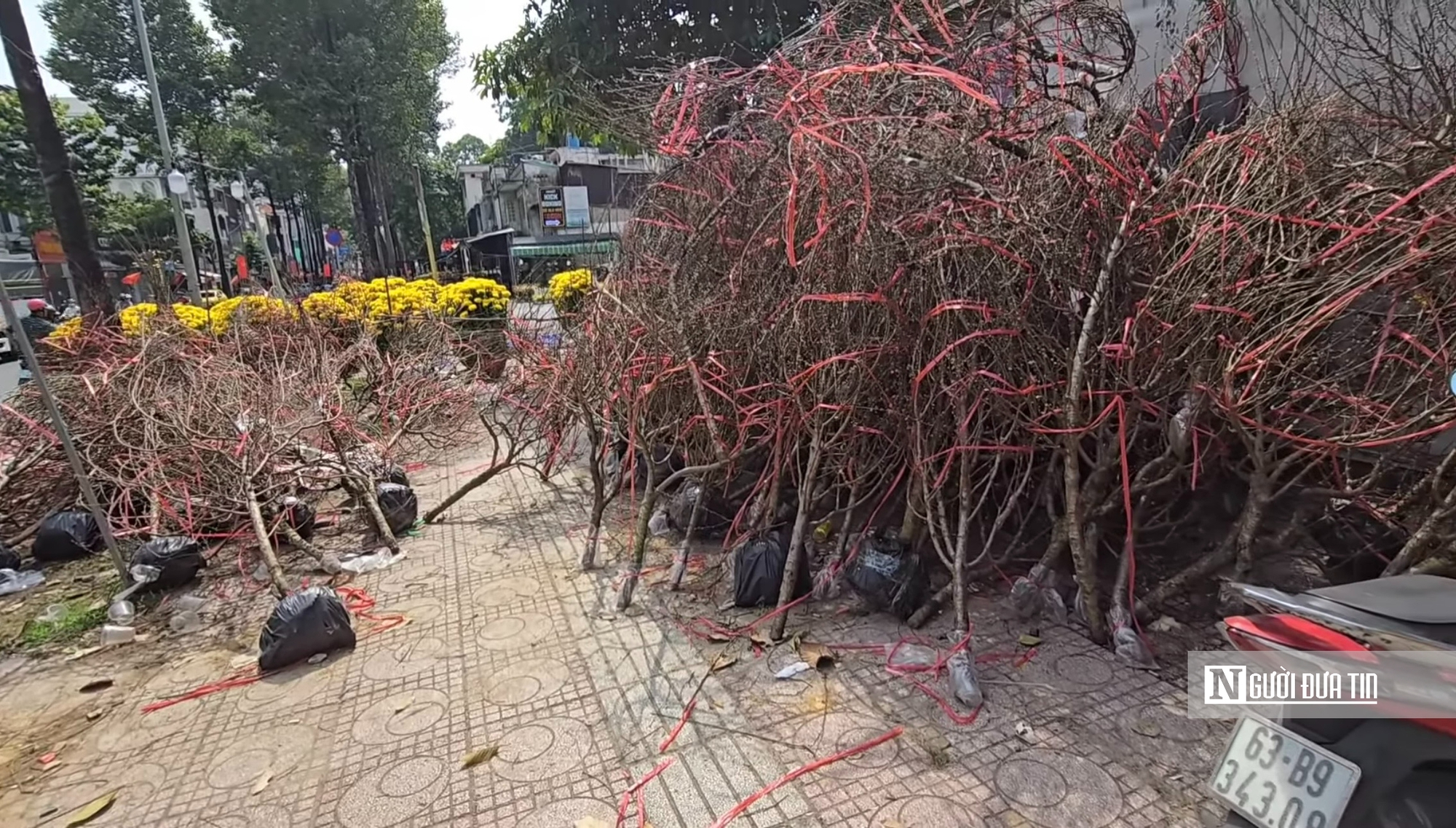 Chợ hoa tết ở Tp.HCM, kẻ khóc người cười- Ảnh 23.