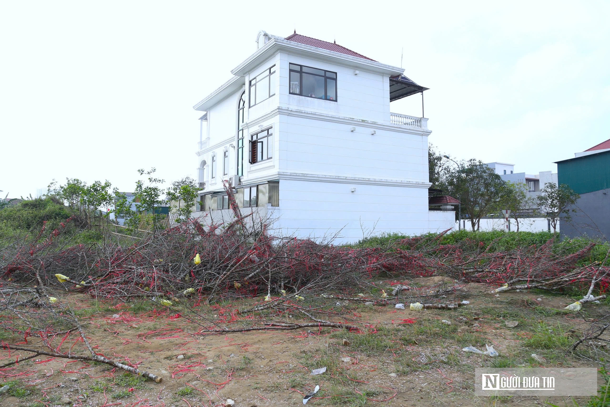 Ngày 29 Tết, tiểu thương chặt đào, vứt la liệt ở vỉa hè - Ảnh 1.