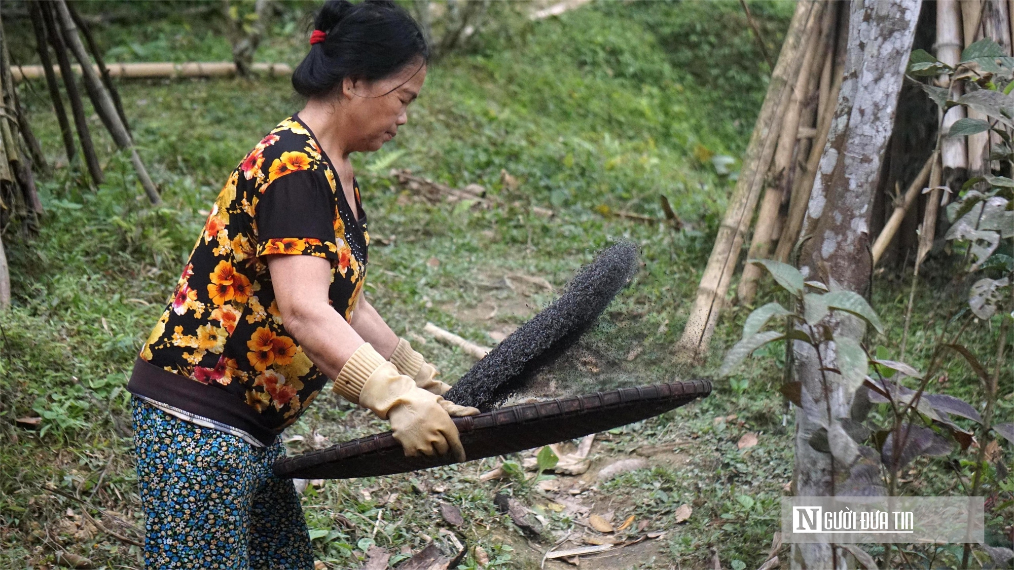 B&aacute;nh chưng đen &ndash; linh hồn ng&agrave;y Tết của người Th&aacute;i trắng- Ảnh 7.