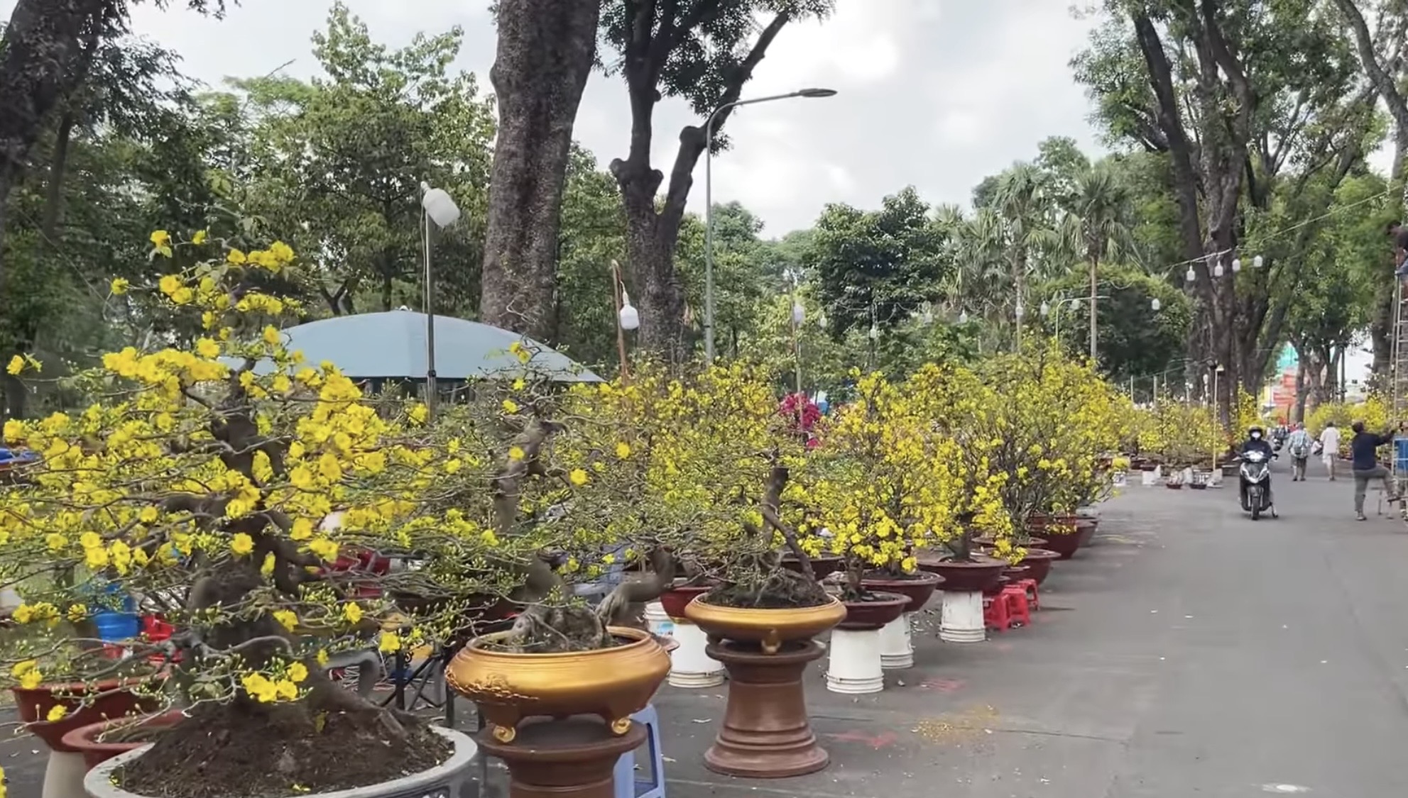 Chợ hoa tết ở Tp.HCM, kẻ khóc người cười- Ảnh 2.