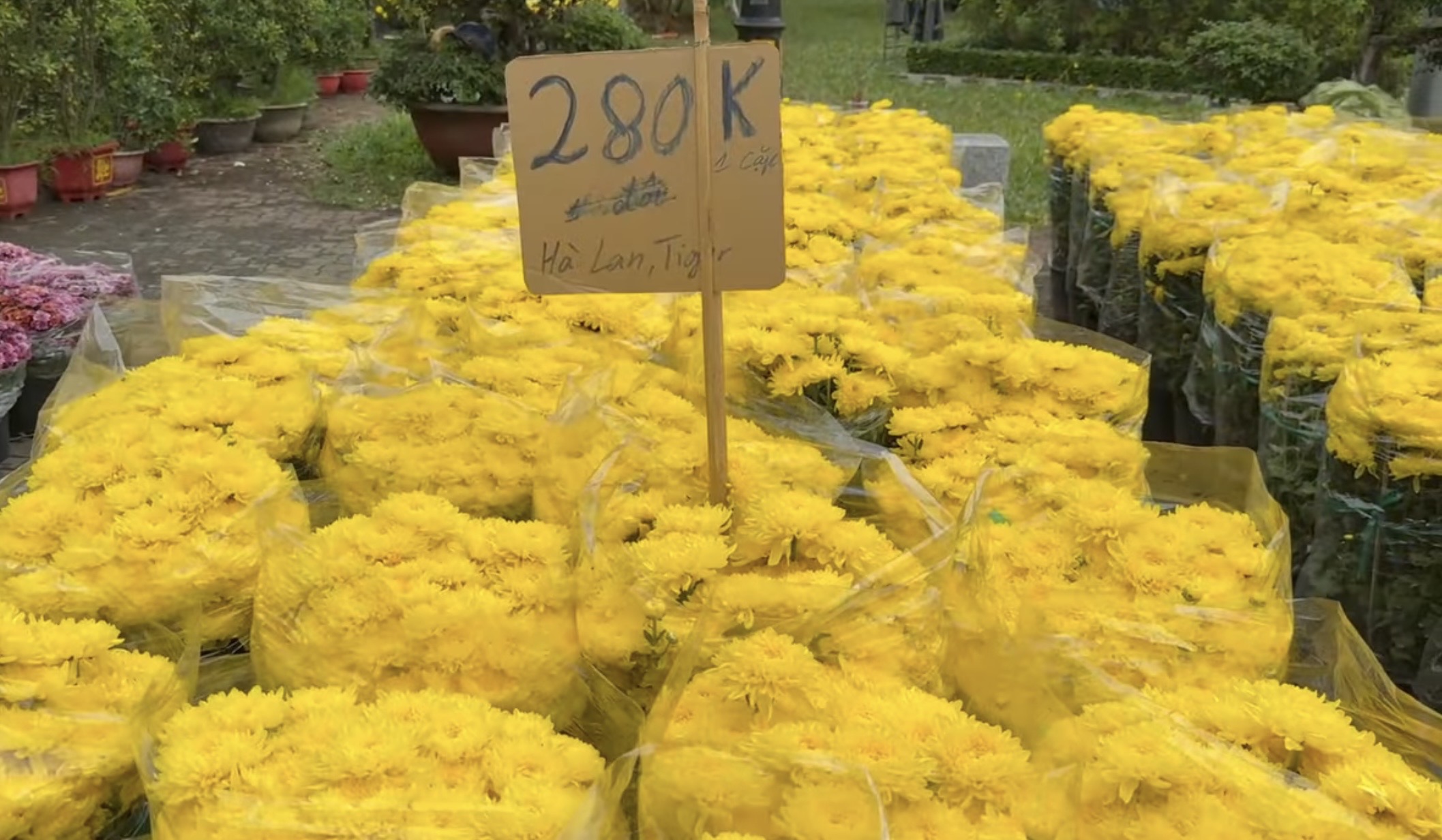 Chợ hoa tết ở Tp.HCM, kẻ khóc người cười- Ảnh 4.