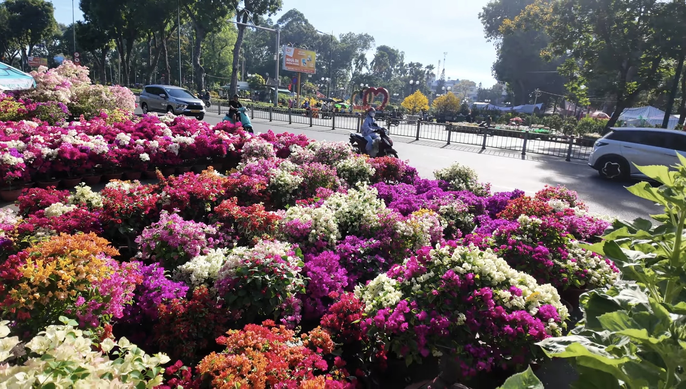 Chợ hoa tết ở Tp.HCM, kẻ khóc người cười- Ảnh 7.