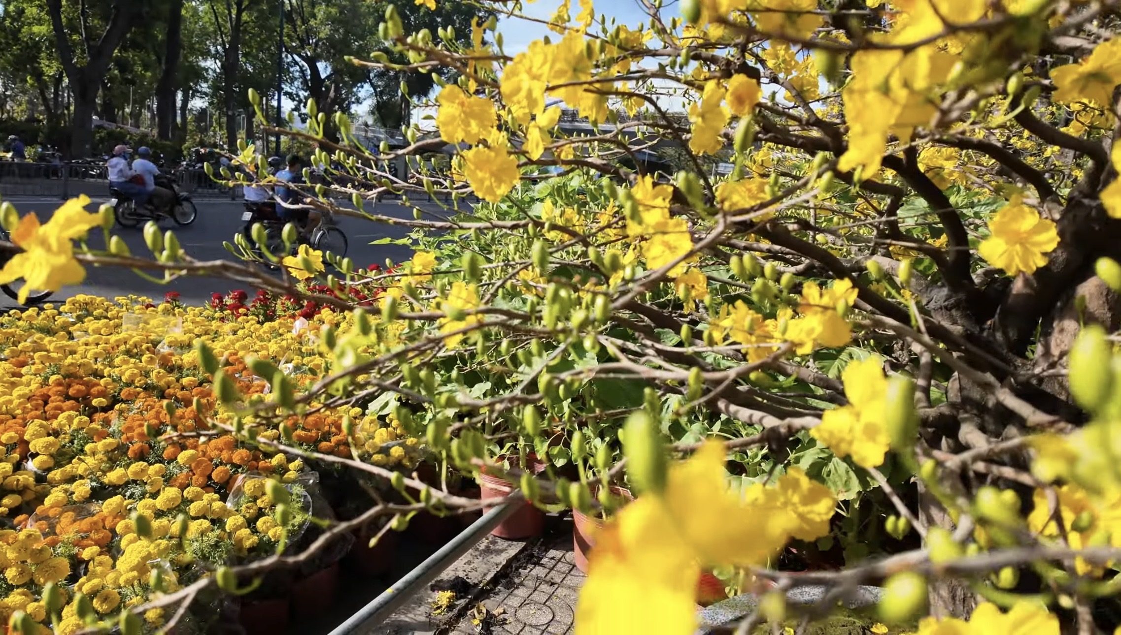 Chợ hoa tết ở Tp.HCM, kẻ khóc người cười- Ảnh 8.