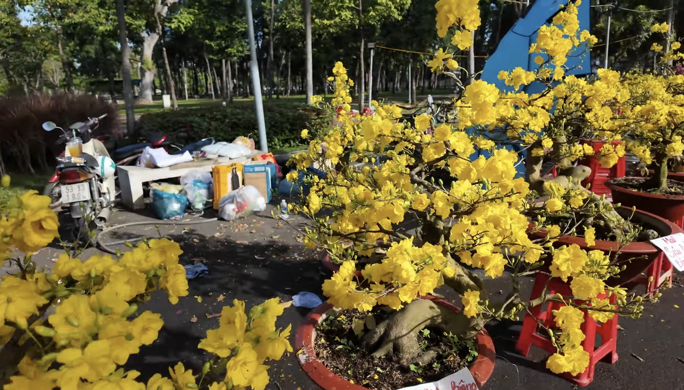 Chợ hoa tết ở Tp.HCM, kẻ khóc người cười- Ảnh 12.