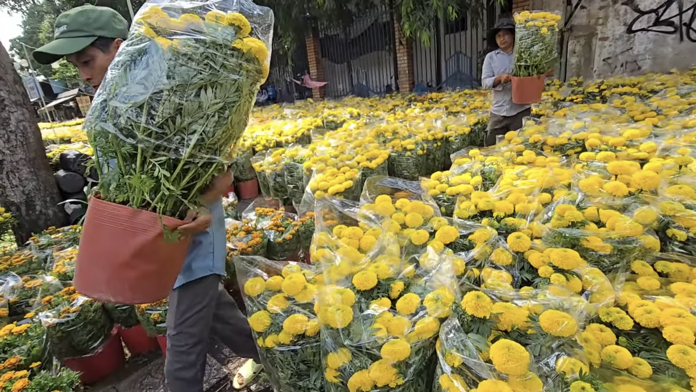 Chợ hoa tết ở Tp.HCM, kẻ khóc người cười- Ảnh 13.