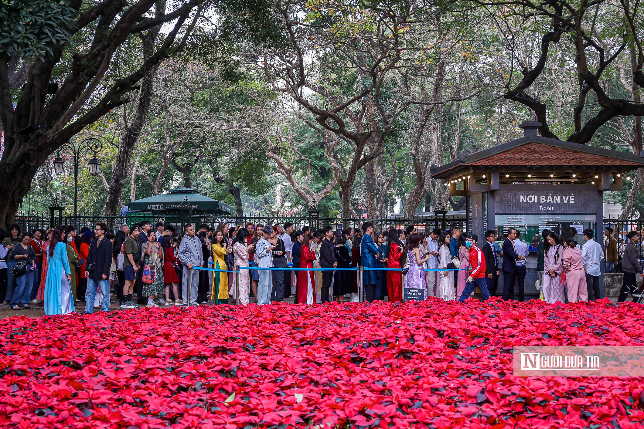 H&agrave; Nội: Đ&ocirc;ng nghịt người đổ về Văn Miếu xin chữ đầu năm- Ảnh 2.