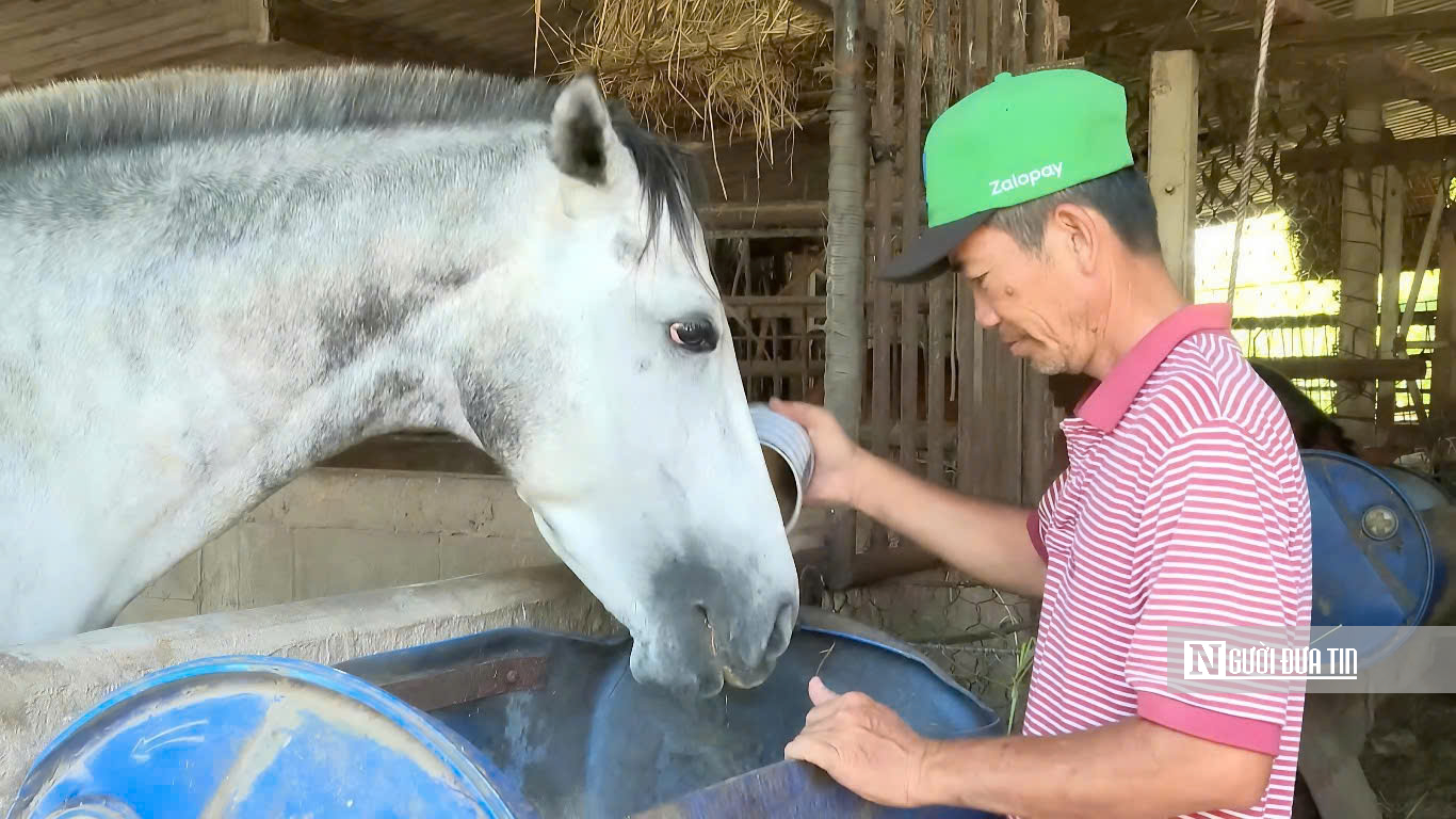 “Thủ phủ ngựa đua” miền Nam một thời giờ ra sao?- Ảnh 1. “Thủ phủ ngựa đua” miền Nam một thời giờ ra sao?- Ảnh 1.