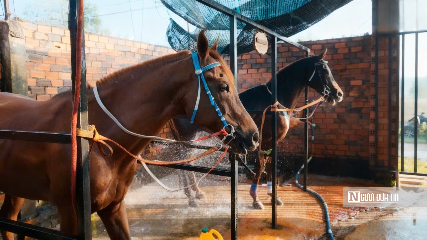 “Thủ phủ ngựa đua” miền Nam một thời giờ ra sao?- Ảnh 2. “Thủ phủ ngựa đua” miền Nam một thời giờ ra sao?- Ảnh 2.