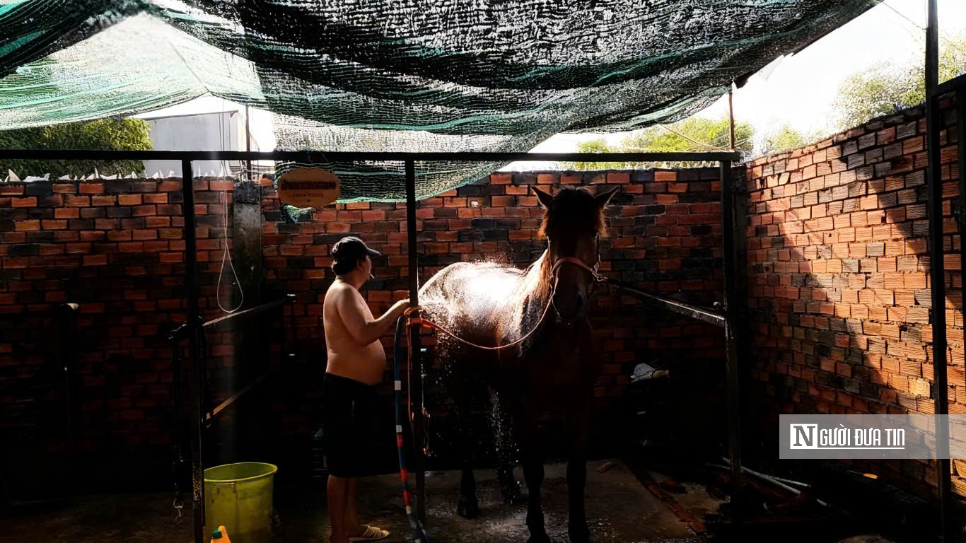 “Thủ phủ ngựa đua” miền Nam một thời giờ ra sao?- Ảnh 3. “Thủ phủ ngựa đua” miền Nam một thời giờ ra sao?- Ảnh 3.