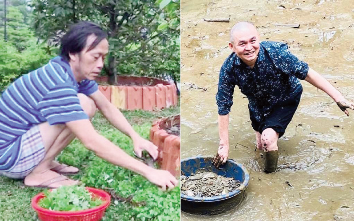 Xuân Hinh và Hoài Linh: Hai 'vua hài' với lối sống giản dị và khối tài sản khổng lồ