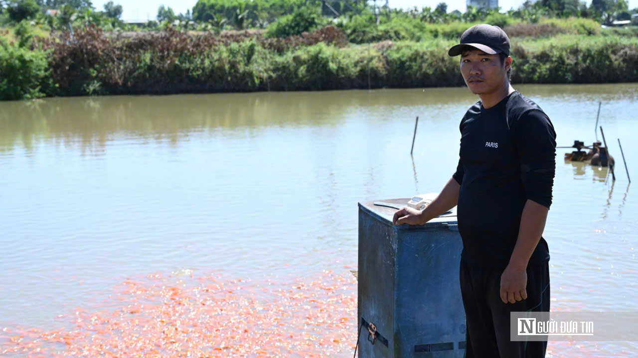 Cận Cảnh “Thủ Phủ” Cá Chép Đỏ Đồng Nai: Sẵn Sàng Chờ Giờ “Vượt Vũ Môn" - Ảnh 8.
