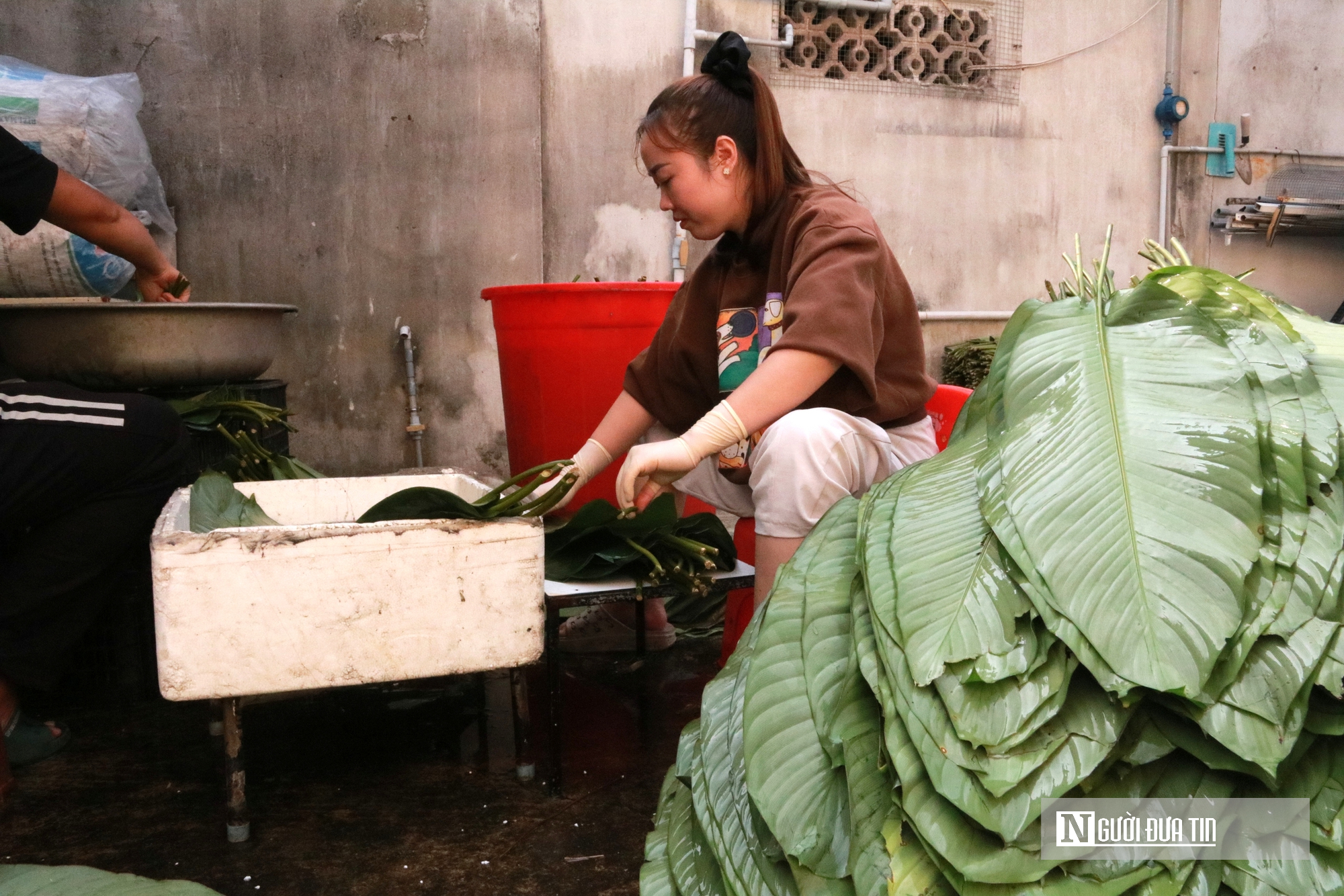 L&agrave;ng b&aacute;nh chưng nổi tiếng ở xứ Nghệ xuy&ecirc;n ng&agrave;y đ&ecirc;m l&agrave;m &ldquo;h&agrave;ng&rdquo; phục vụ Tết - Ảnh 3.