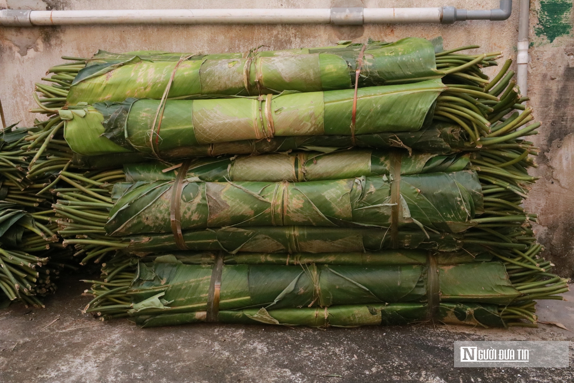 L&agrave;ng b&aacute;nh chưng nổi tiếng ở xứ Nghệ xuy&ecirc;n ng&agrave;y đ&ecirc;m l&agrave;m &ldquo;h&agrave;ng&rdquo; phục vụ Tết - Ảnh 4.