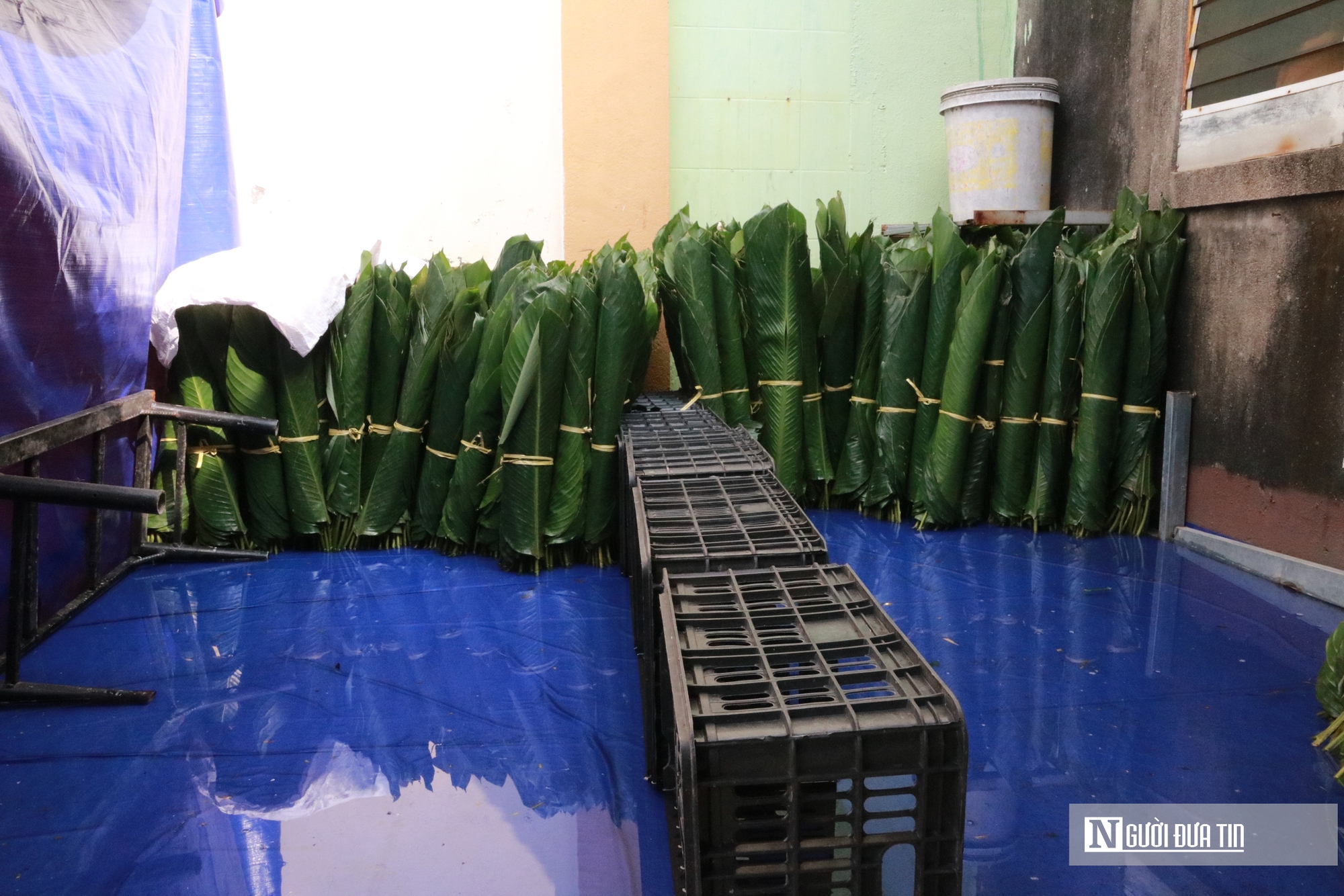 L&agrave;ng b&aacute;nh chưng nổi tiếng ở xứ Nghệ xuy&ecirc;n ng&agrave;y đ&ecirc;m l&agrave;m &ldquo;h&agrave;ng&rdquo; phục vụ Tết - Ảnh 6.