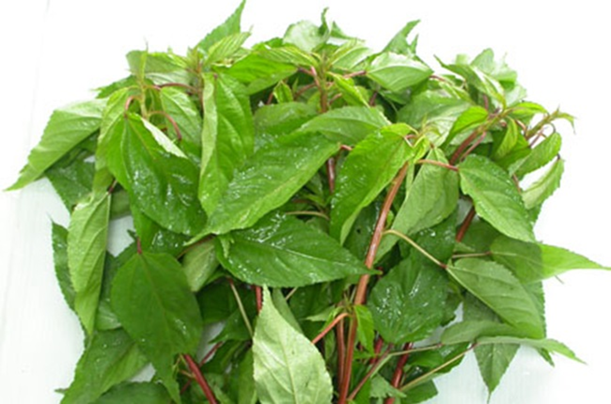 Loại rau hiếm khi “ngậm” thuốc trừ sâu, trời Tây mê tít: Ra chợ Việt là thấy đầy- Ảnh 1.