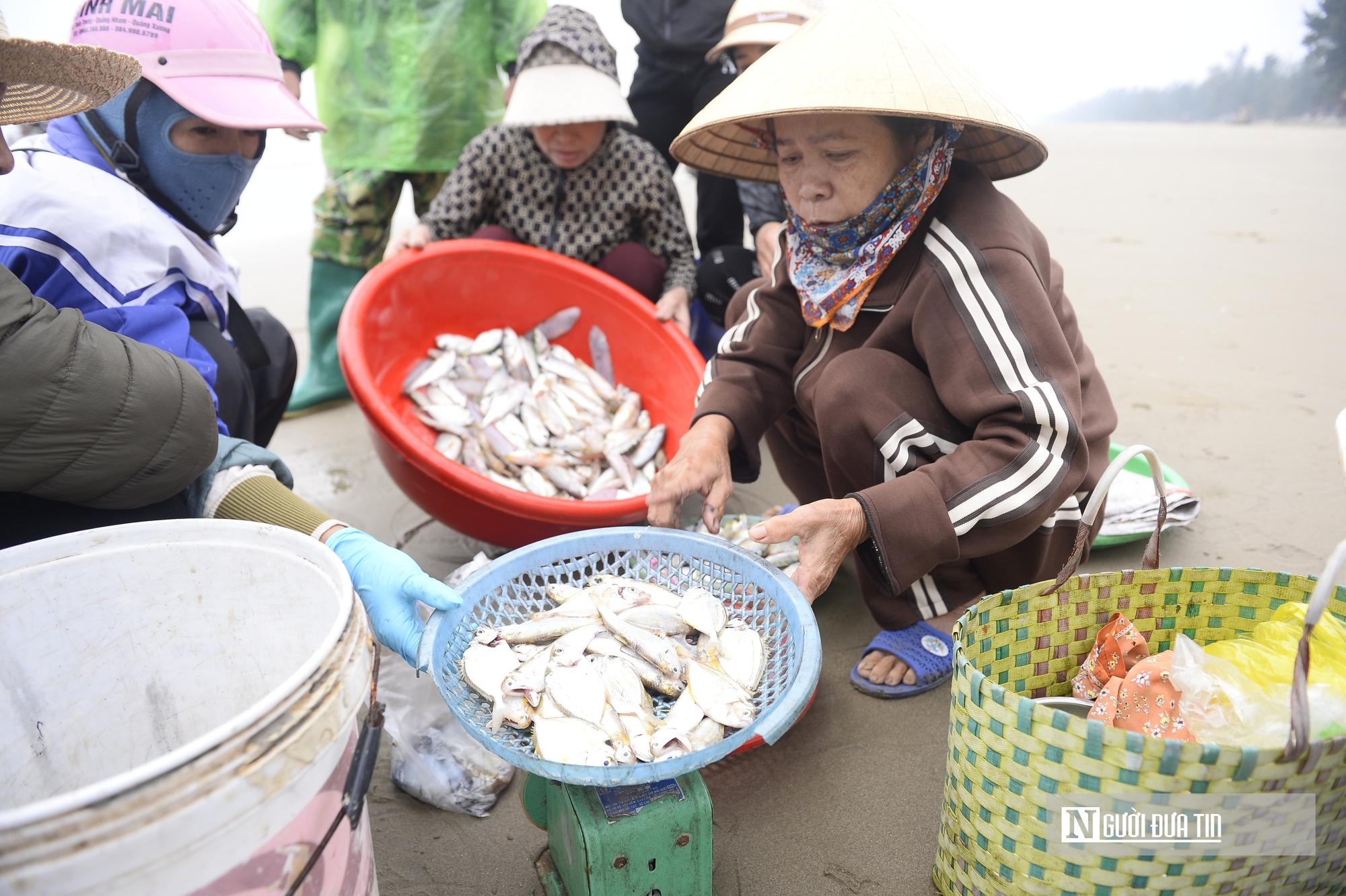 Ngư d&acirc;n vươn khơi h&aacute;i lộc biển đầu năm, mang về thuyền đầy t&ocirc;m, c&aacute;- Ảnh 6.