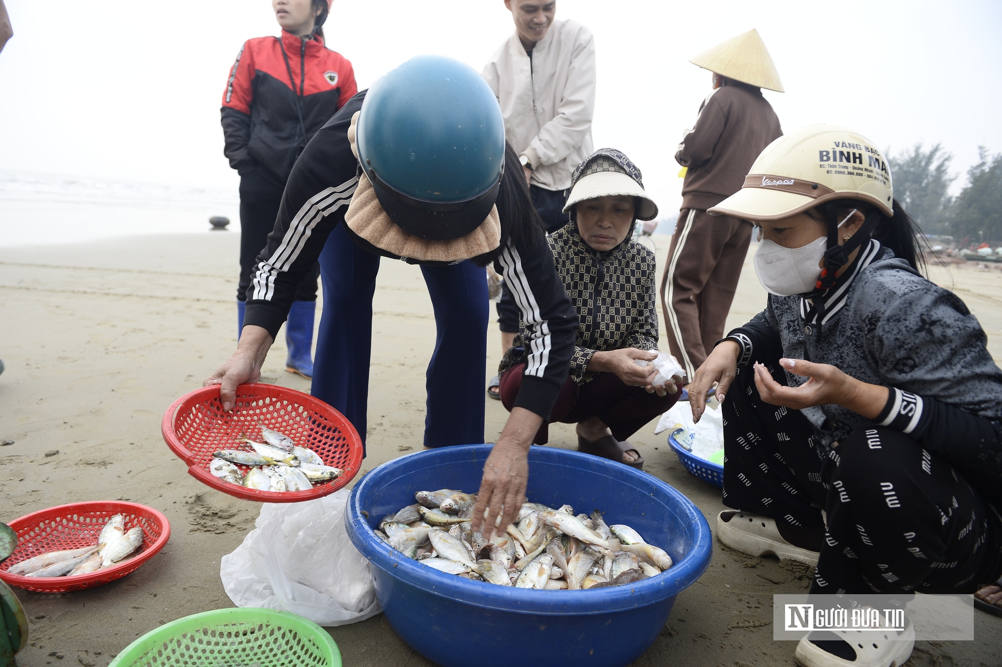 Ngư d&acirc;n vươn khơi h&aacute;i lộc biển đầu năm, mang về thuyền đầy t&ocirc;m, c&aacute;- Ảnh 7.