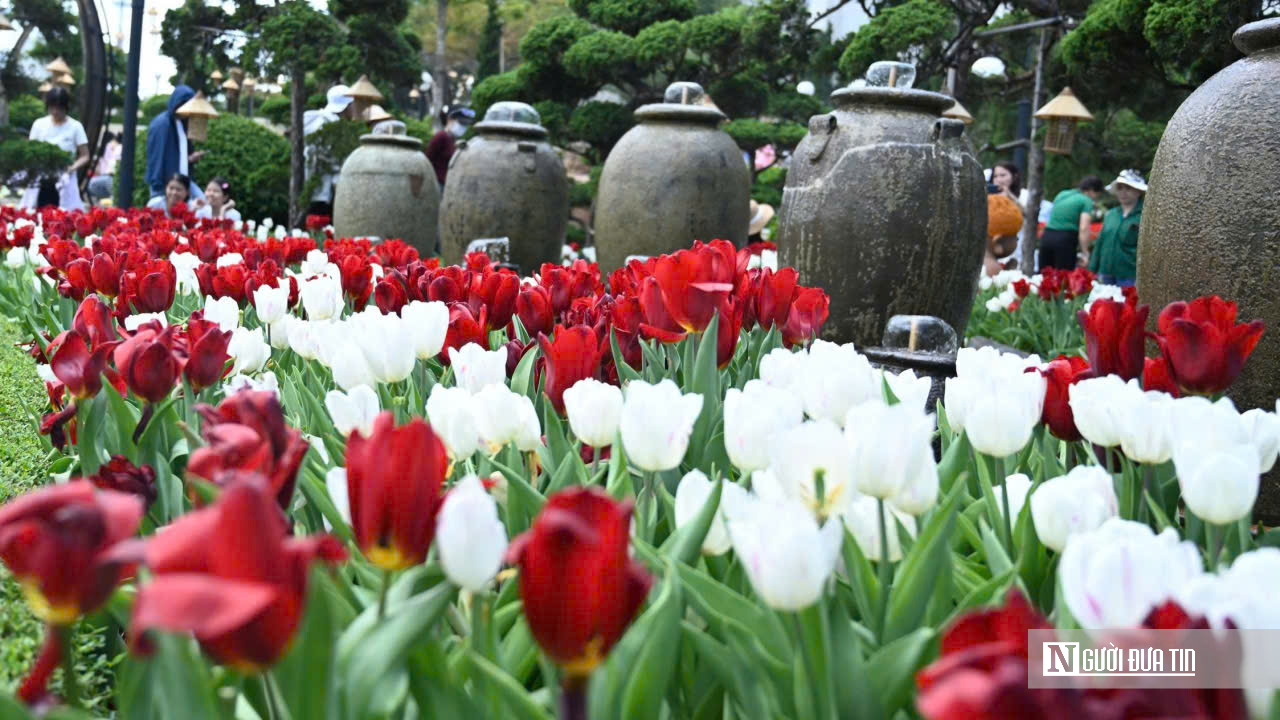 Biển người trẩy hội Núi Bà Đen sáng mùng 5 Tết: Thành tâm dâng lễ, gửi ước vọng đầu xuân- Ảnh 20.