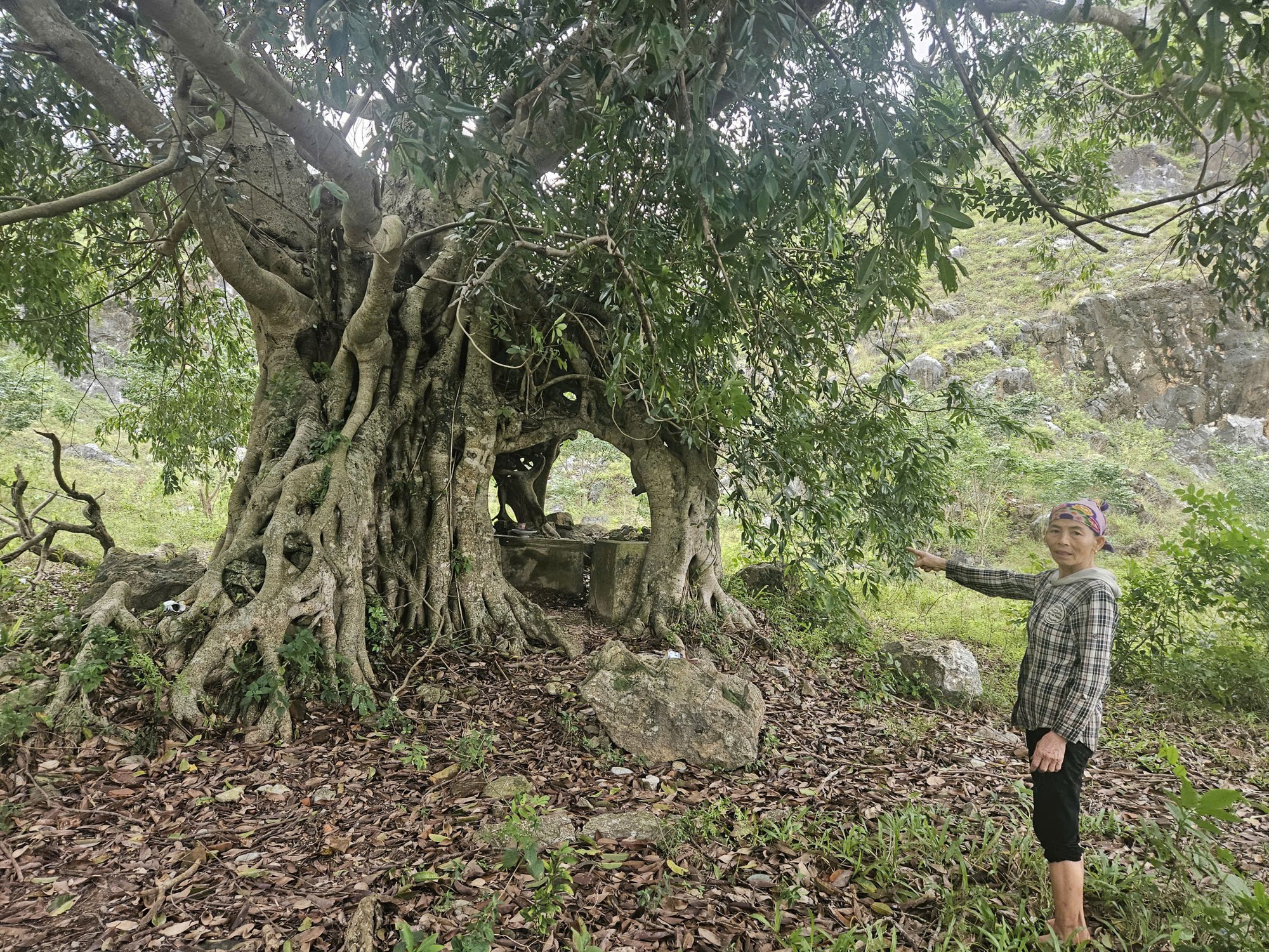 Huyền thoại về ngôi đền linh thiêng ở lèn Vịnh và khát vọng hồi sinh- Ảnh 3.