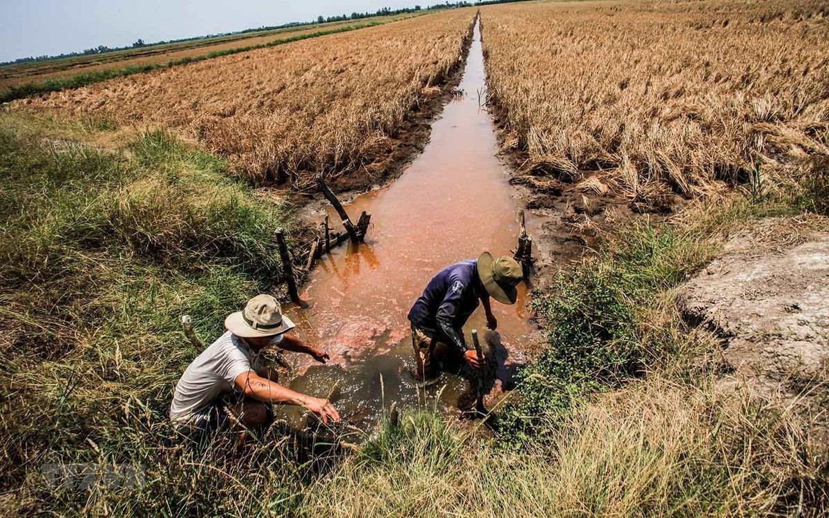 Thủ tướng chỉ đạo ứng phó xâm nhập mặn ĐBSCL và hạn hán, cháy rừng Nam Trung Bộ