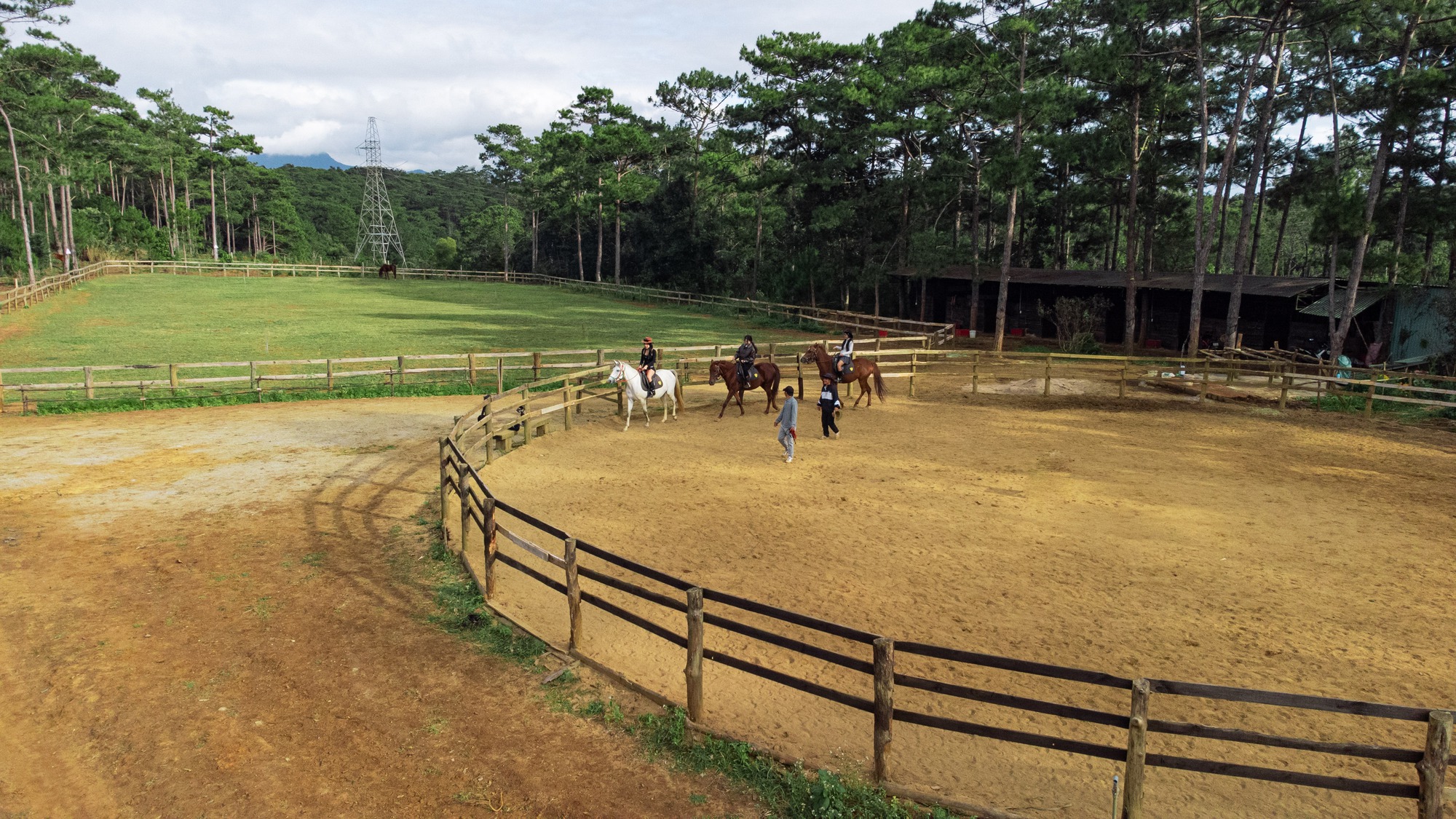 Cưỡi ngựa xuy&ecirc;n rừng gi&agrave;, trải nghiệm h&uacute;t kh&aacute;ch ở Măng Đen dịp Tết- Ảnh 3.