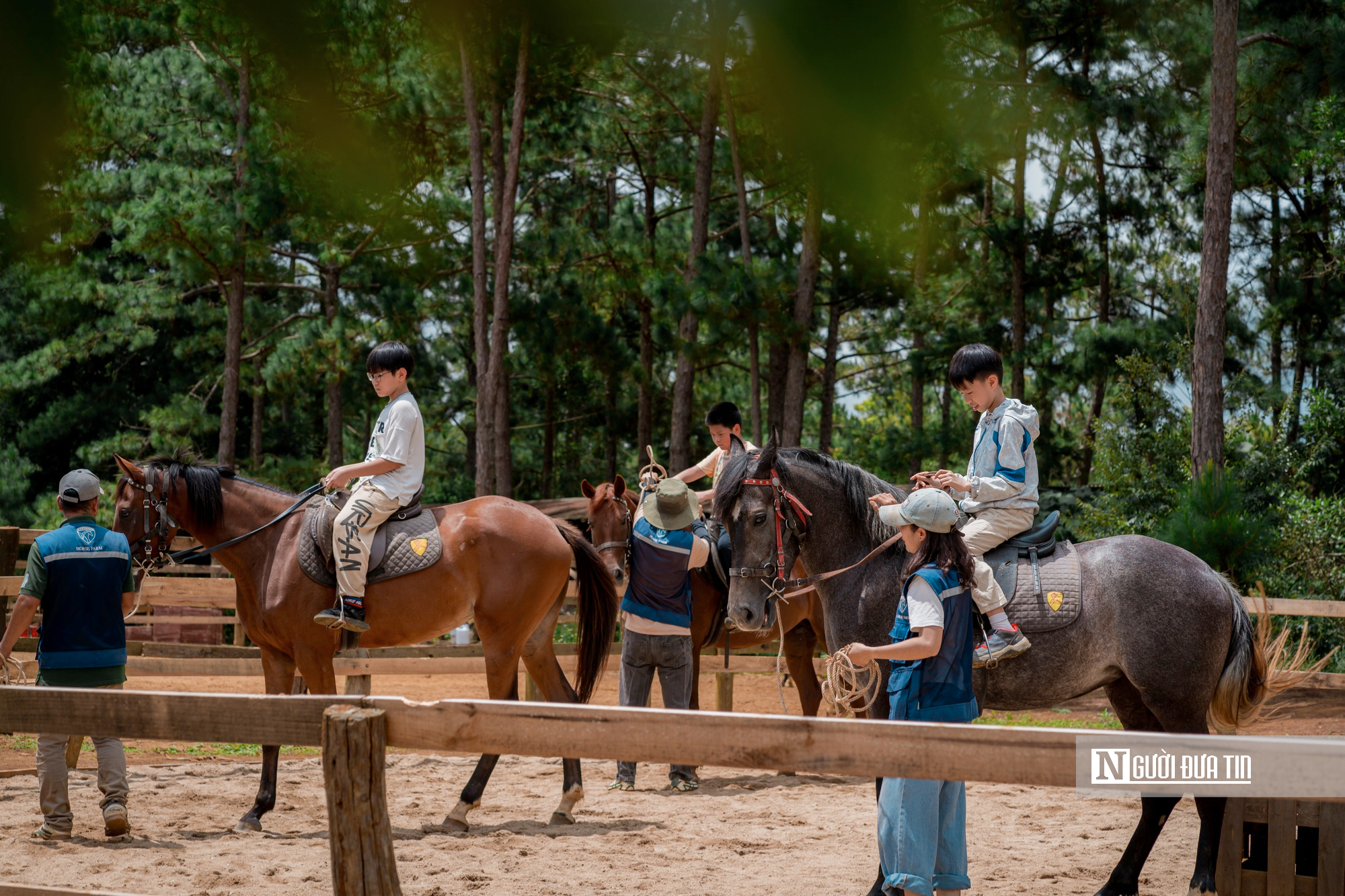 Cưỡi ngựa xuy&ecirc;n rừng gi&agrave;, trải nghiệm h&uacute;t kh&aacute;ch ở Măng Đen dịp Tết- Ảnh 1.