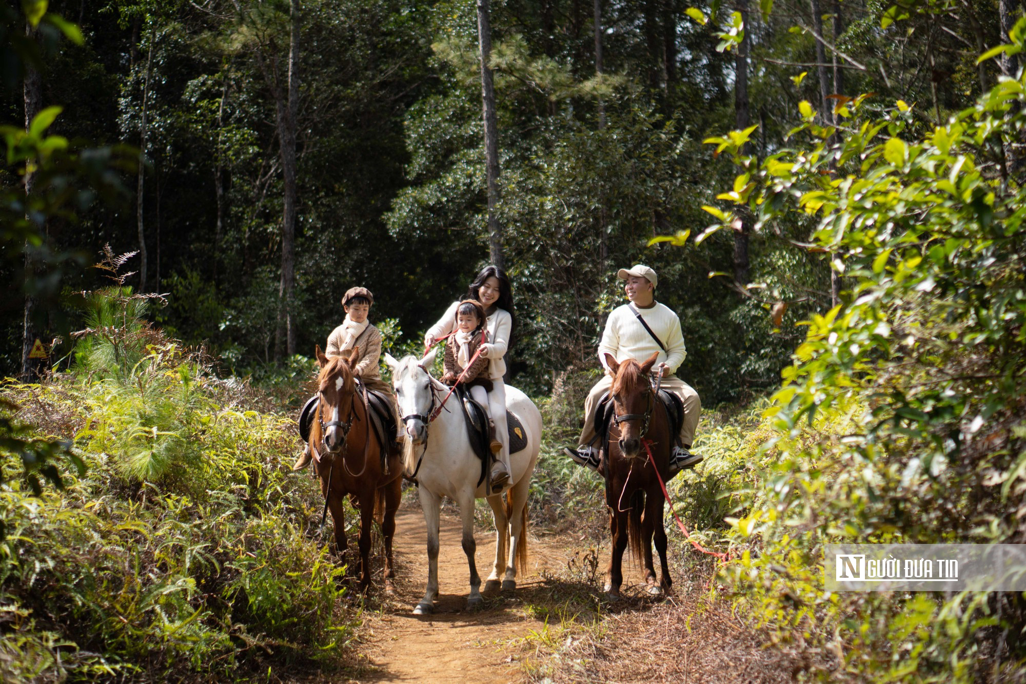 Cưỡi ngựa xuy&ecirc;n rừng gi&agrave;, trải nghiệm h&uacute;t kh&aacute;ch ở Măng Đen dịp Tết- Ảnh 2.