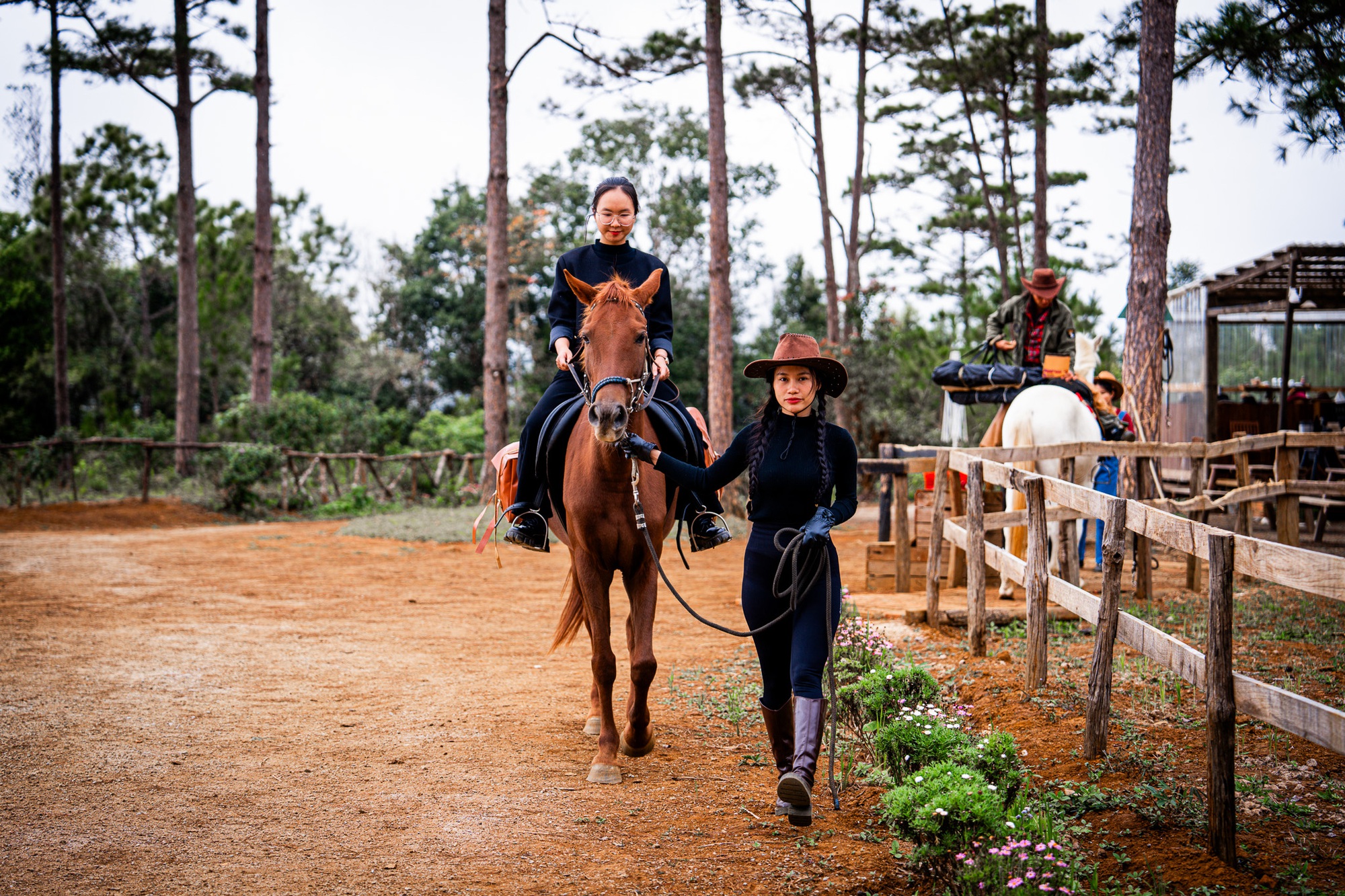 Cưỡi ngựa xuy&ecirc;n rừng gi&agrave;, trải nghiệm h&uacute;t kh&aacute;ch ở Măng Đen dịp Tết- Ảnh 4.