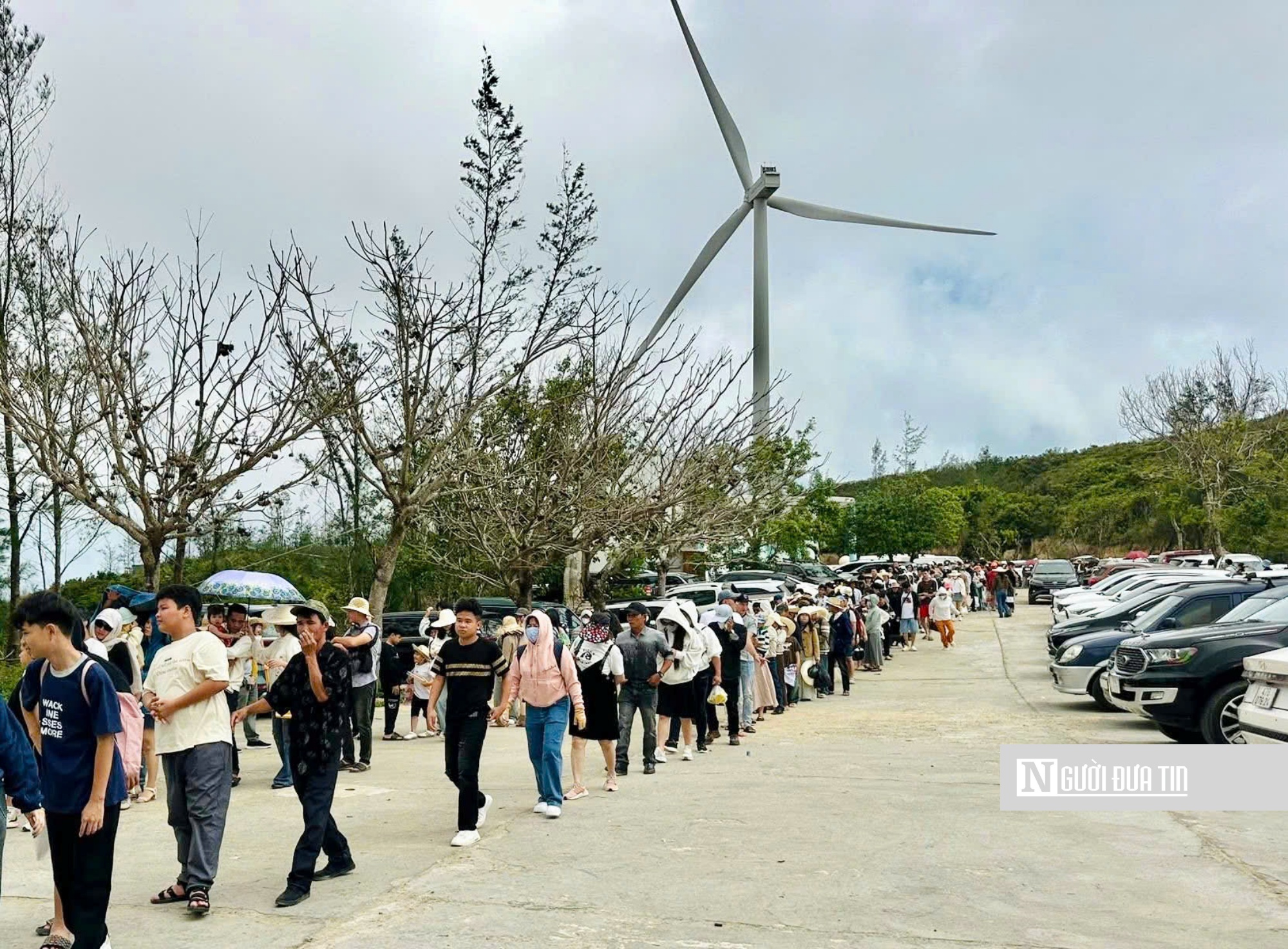 Du lịch Gia Lai dịp Tết Nguyên đán Bính Ngọ 2026: Lượng khách tăng mạnh, doanh thu vượt kỳ vọng - Ảnh 4.