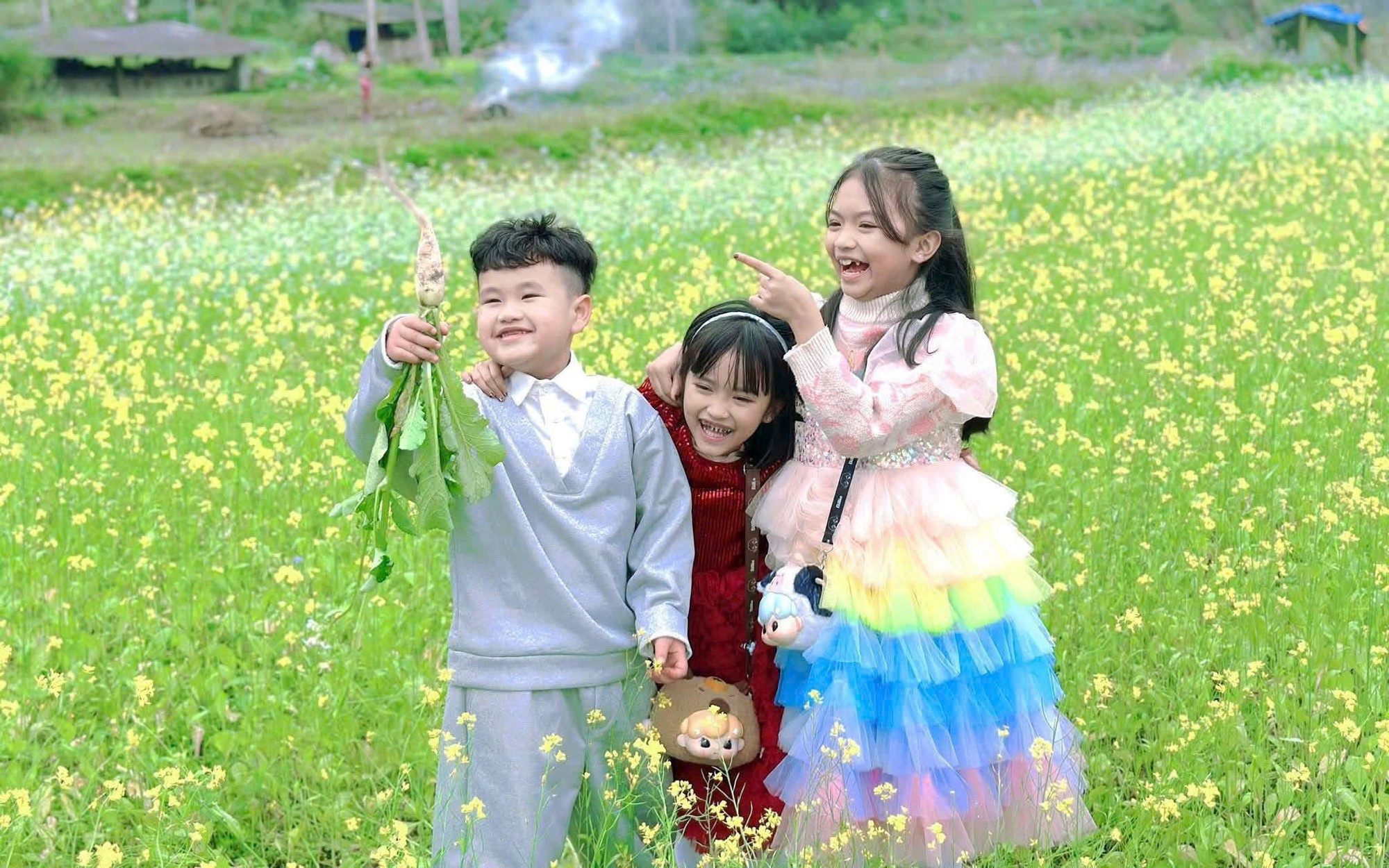 Bản Bung Rực Rỡ Sắc Vàng Hoa Cải, Điểm Du Xuân Lý Tưởng Giữa Núi Rừng