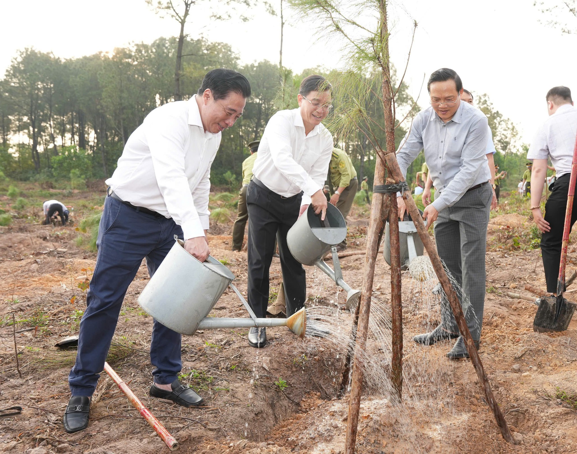 Huế: Phủ xanh “công viên ma mị” từng lên nhiều tờ báo nước ngoài - Ảnh 1.