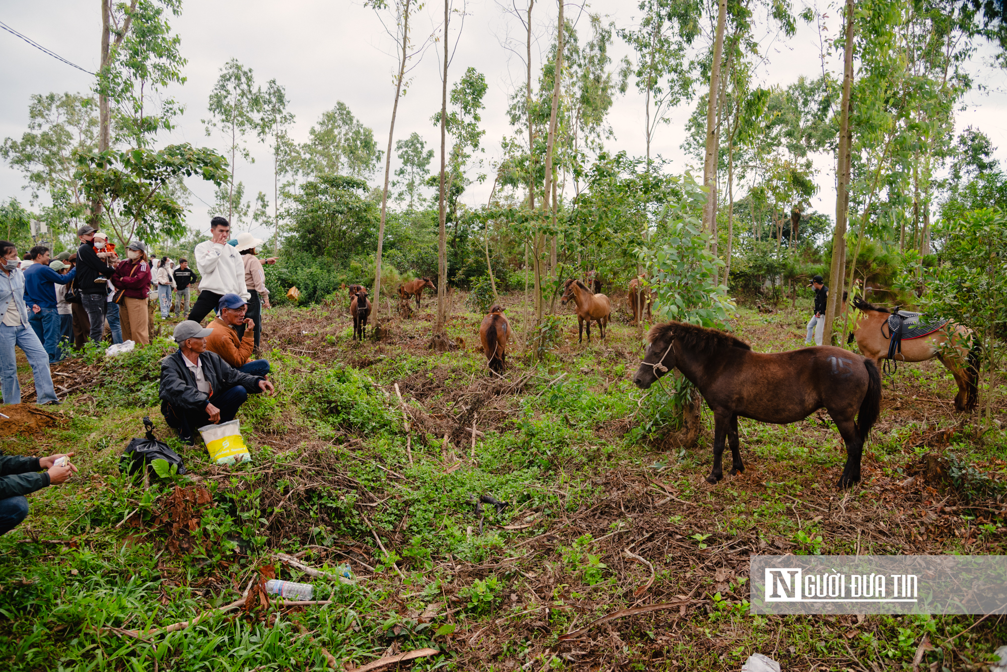Xem nông dân Đắk Lắk hoá "kỵ sĩ" cưỡi ngựa thồ tham gia lễ đua đầu năm - Ảnh 3. Xem nông dân Đắk Lắk hoá "kỵ sĩ" cưỡi ngựa thồ tham gia lễ đua đầu năm - Ảnh 3.