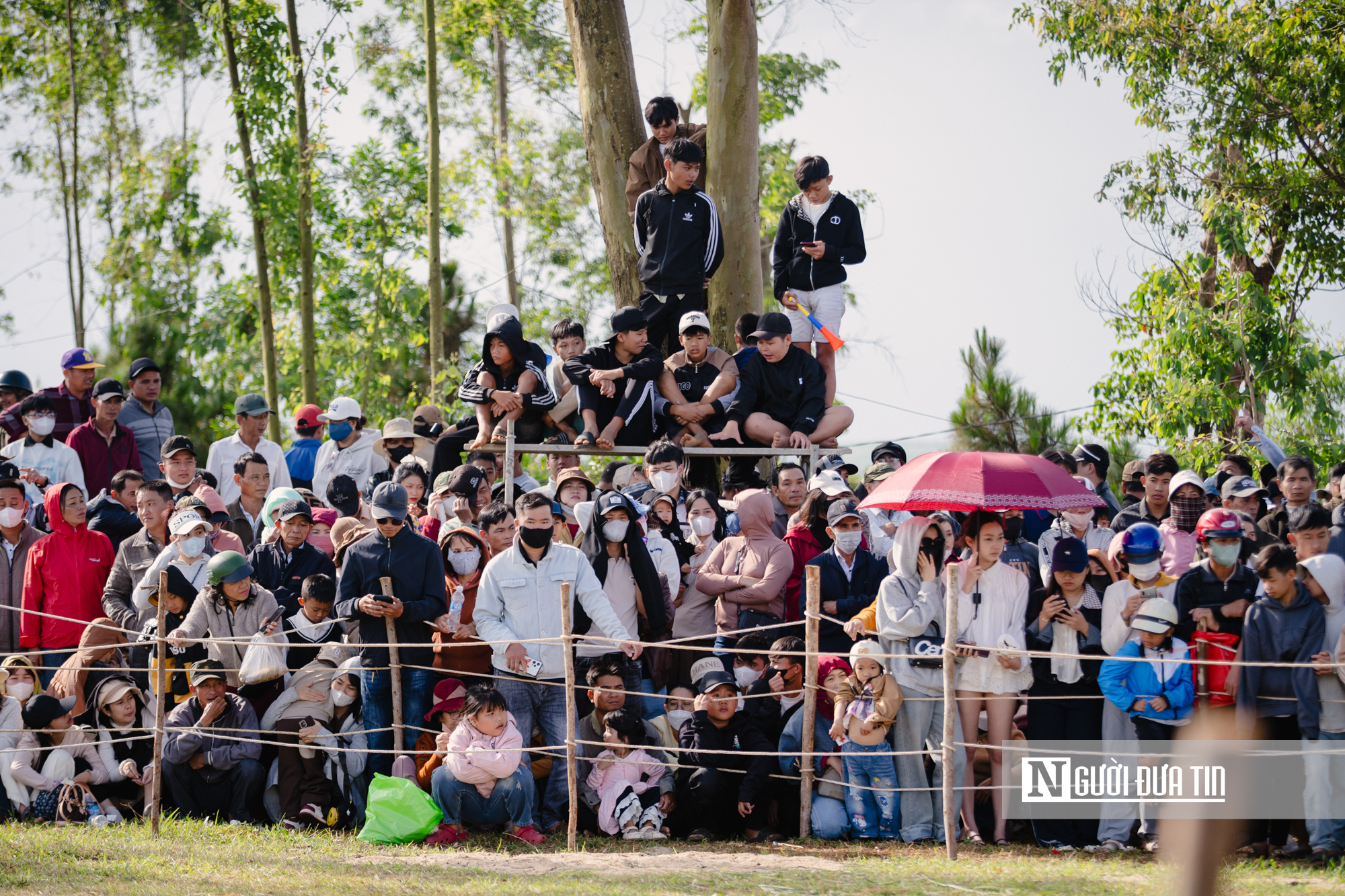 Xem nông dân Đắk Lắk hoá "kỵ sĩ" cưỡi ngựa thồ tham gia lễ đua đầu năm - Ảnh 8.