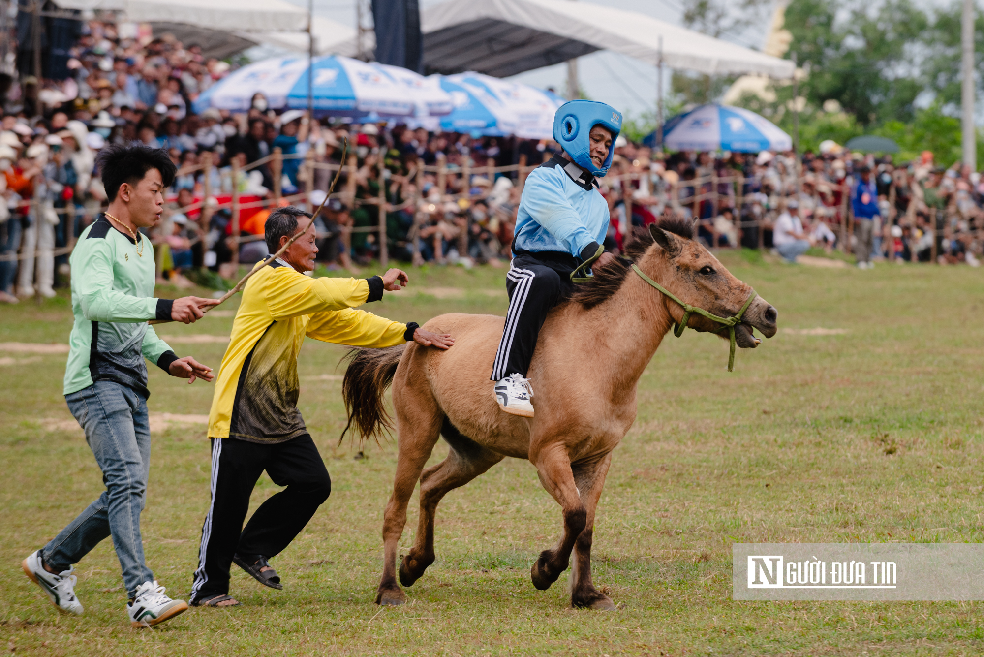 Xem nông dân Đắk Lắk hoá "kỵ sĩ" cưỡi ngựa thồ tham gia lễ đua đầu năm - Ảnh 10. Xem nông dân Đắk Lắk hoá "kỵ sĩ" cưỡi ngựa thồ tham gia lễ đua đầu năm - Ảnh 10.