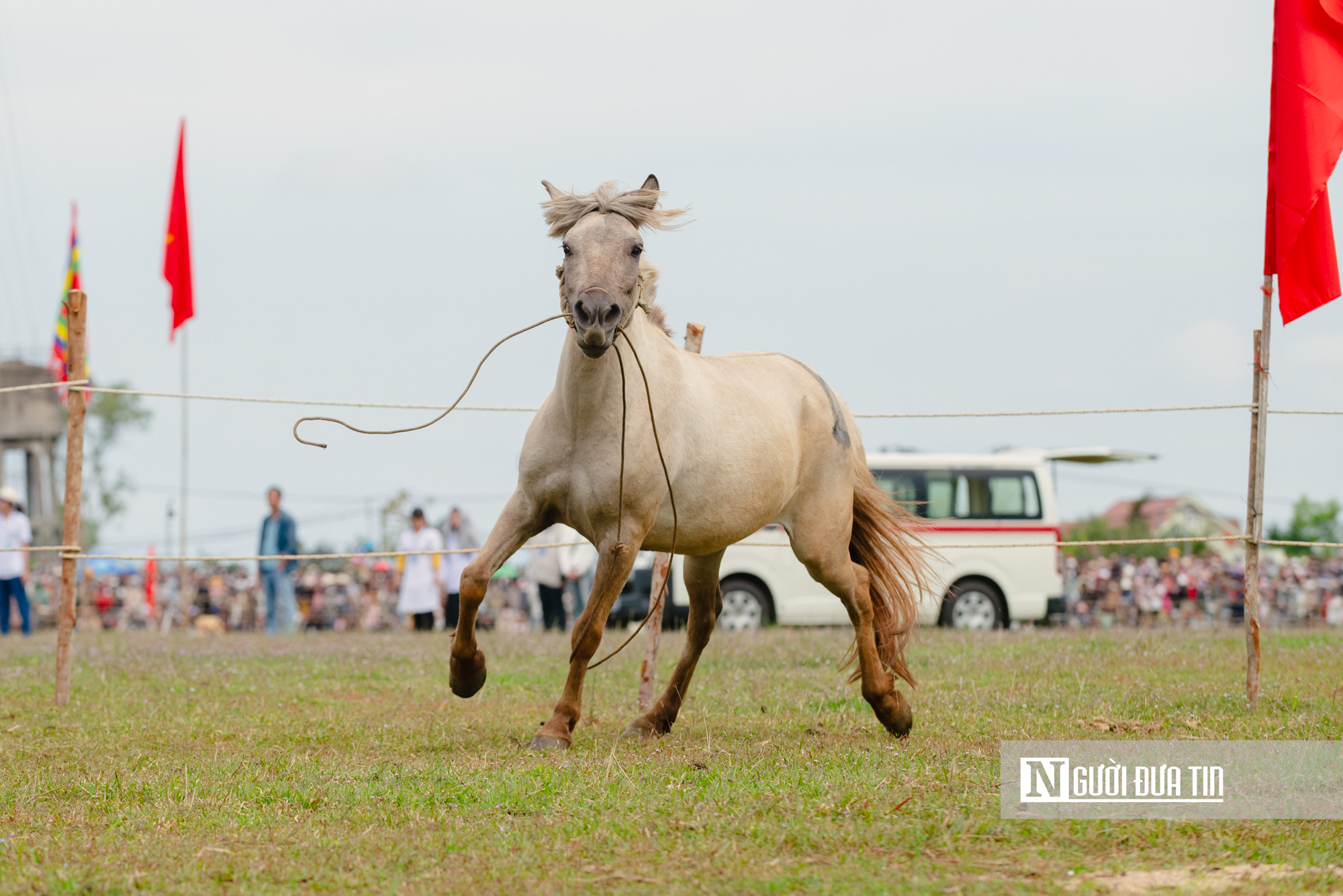 Xem nông dân Đắk Lắk hoá "kỵ sĩ" cưỡi ngựa thồ tham gia lễ đua đầu năm - Ảnh 15.