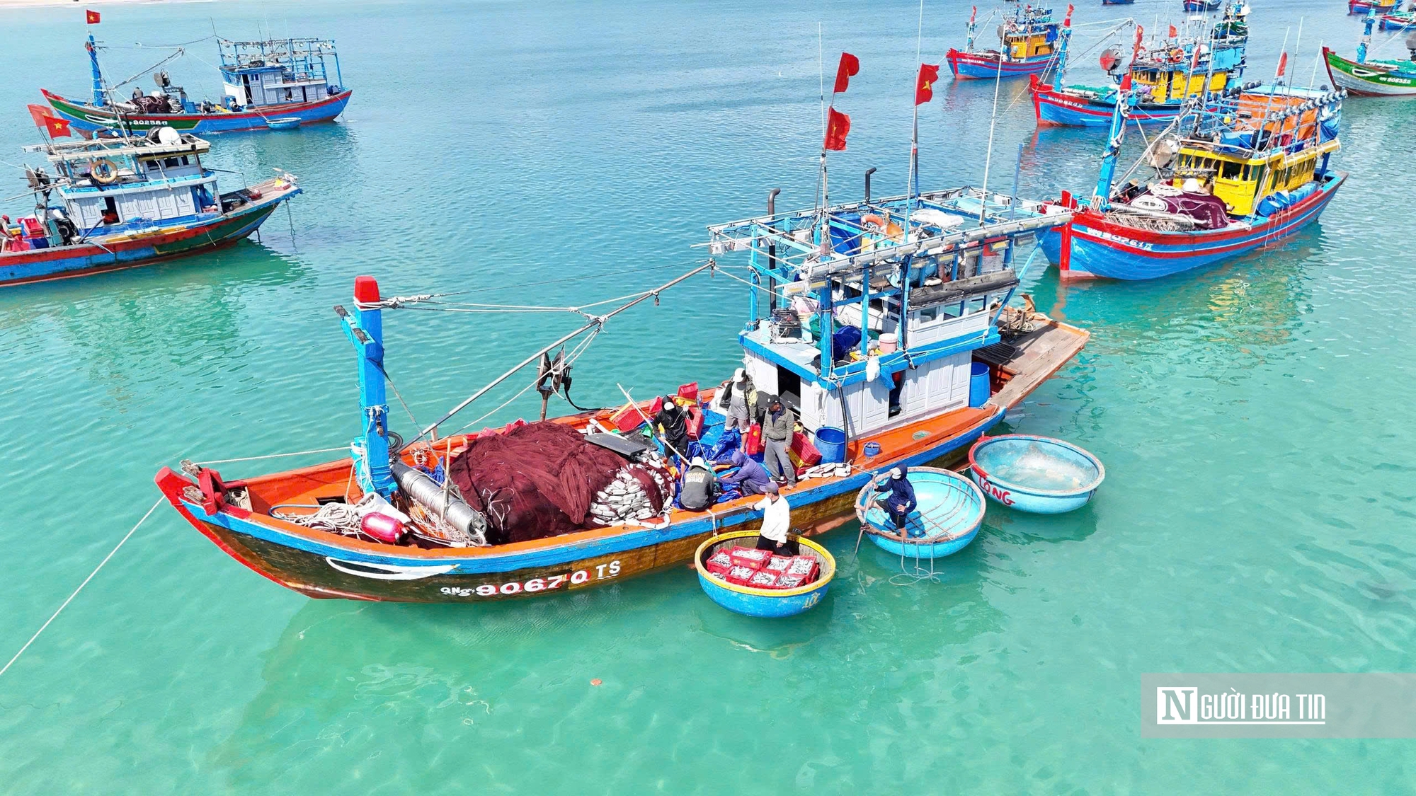 Rộn r&agrave;ng m&ugrave;a c&aacute; nục ở Quảng Ng&atilde;i - Ảnh 6.