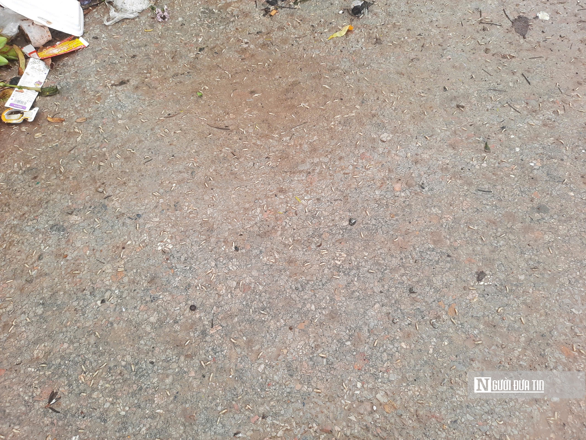 Rác thải dồn ứ sau Tết khiến cuộc sống của hàng trăm hộ dân bị đảo lộn- Ảnh 5.