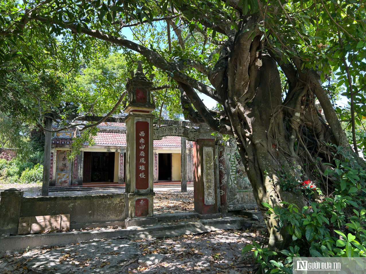 Đà Nẵng: Người dân quyết giữ rừng ngay đô thị giữa thời đất vàng - Ảnh 5. Đà Nẵng: Người dân quyết giữ rừng ngay đô thị giữa thời đất vàng - Ảnh 5.