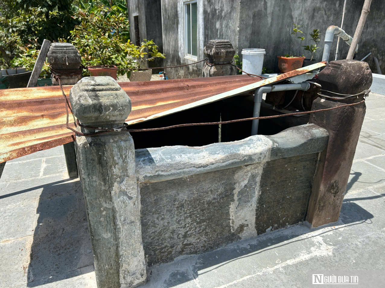 Đà Nẵng: Người dân quyết giữ rừng ngay đô thị giữa thời đất vàng - Ảnh 4. Đà Nẵng: Người dân quyết giữ rừng ngay đô thị giữa thời đất vàng - Ảnh 4.