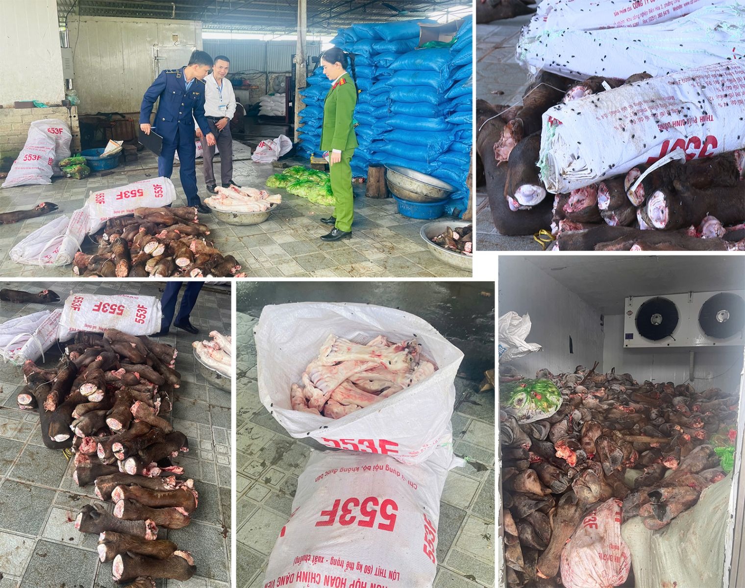 Phát hiện 2 kho lạnh chứa gần 6 tấn đuôi, chân trâu bò bốc mùi thối- Ảnh 1.